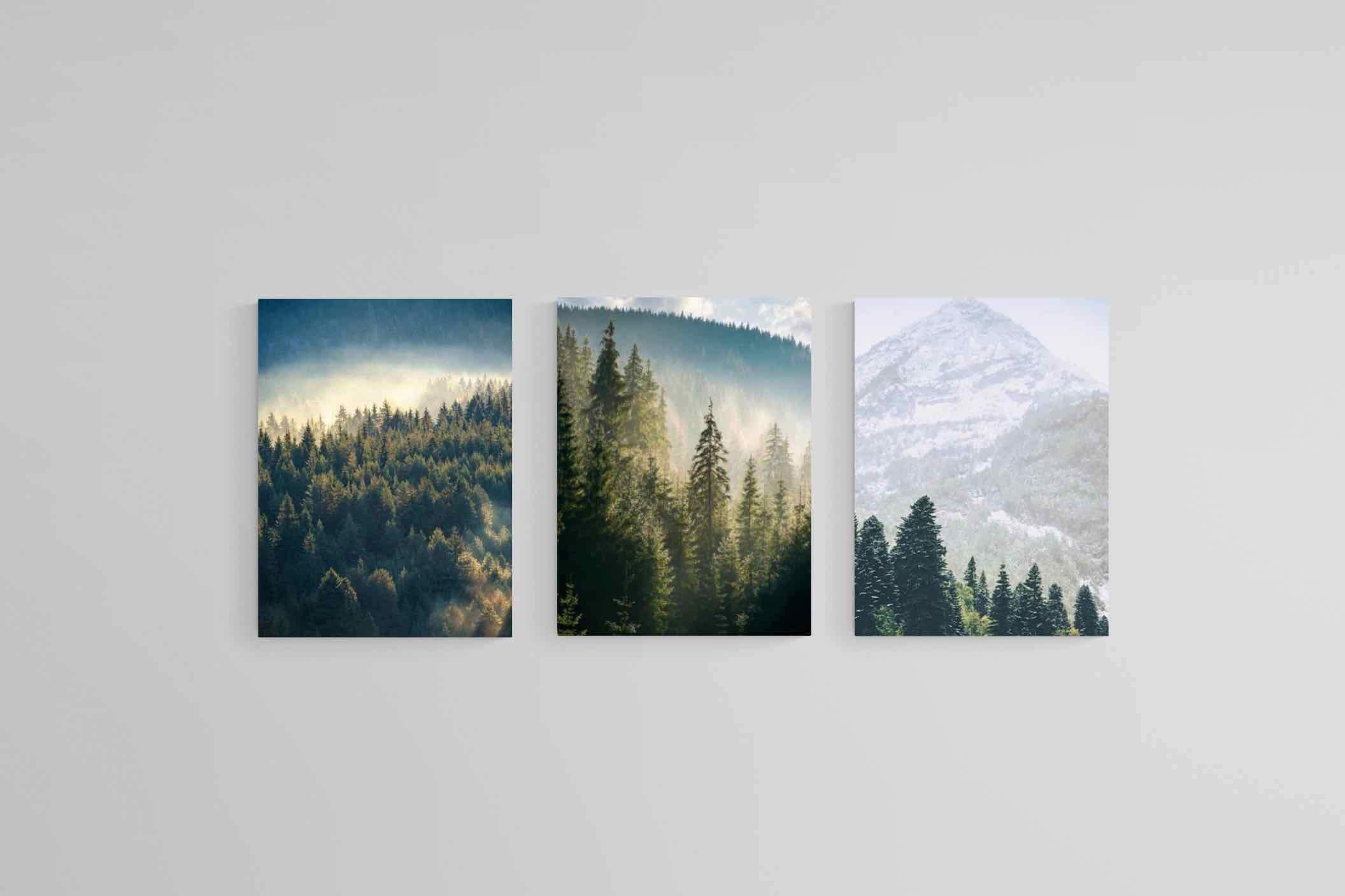 Misty Forest Set-Wall_Art-60 x 80cm (x3)-Mounted Canvas-No Frame-Pixalot