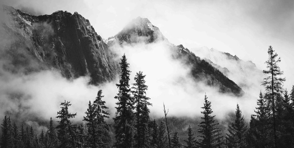 Misty Mountain-Wall_Art-Pixalot