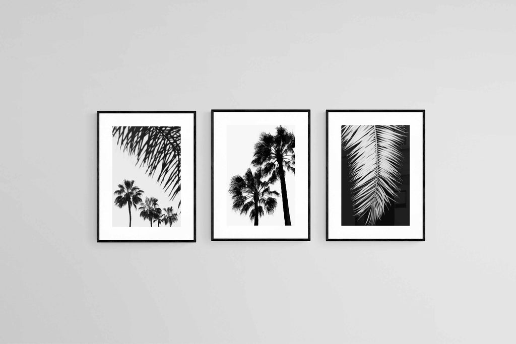Mono Palms Set-Wall_Art-45 x 60cm (x3)-Framed Print-Black-Pixalot
