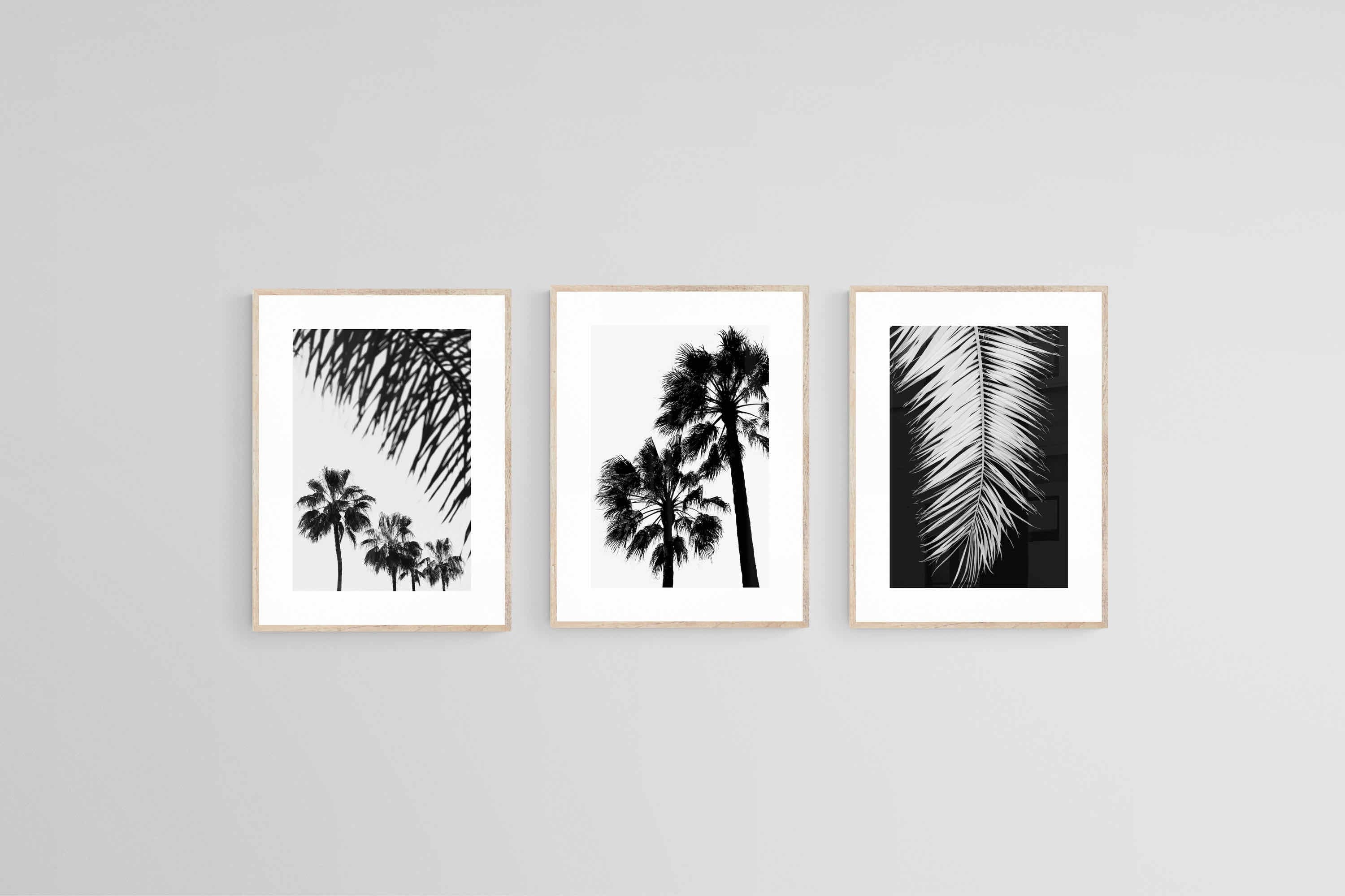 Mono Palms Set-Wall_Art-45 x 60cm (x3)-Framed Print-Wood-Pixalot