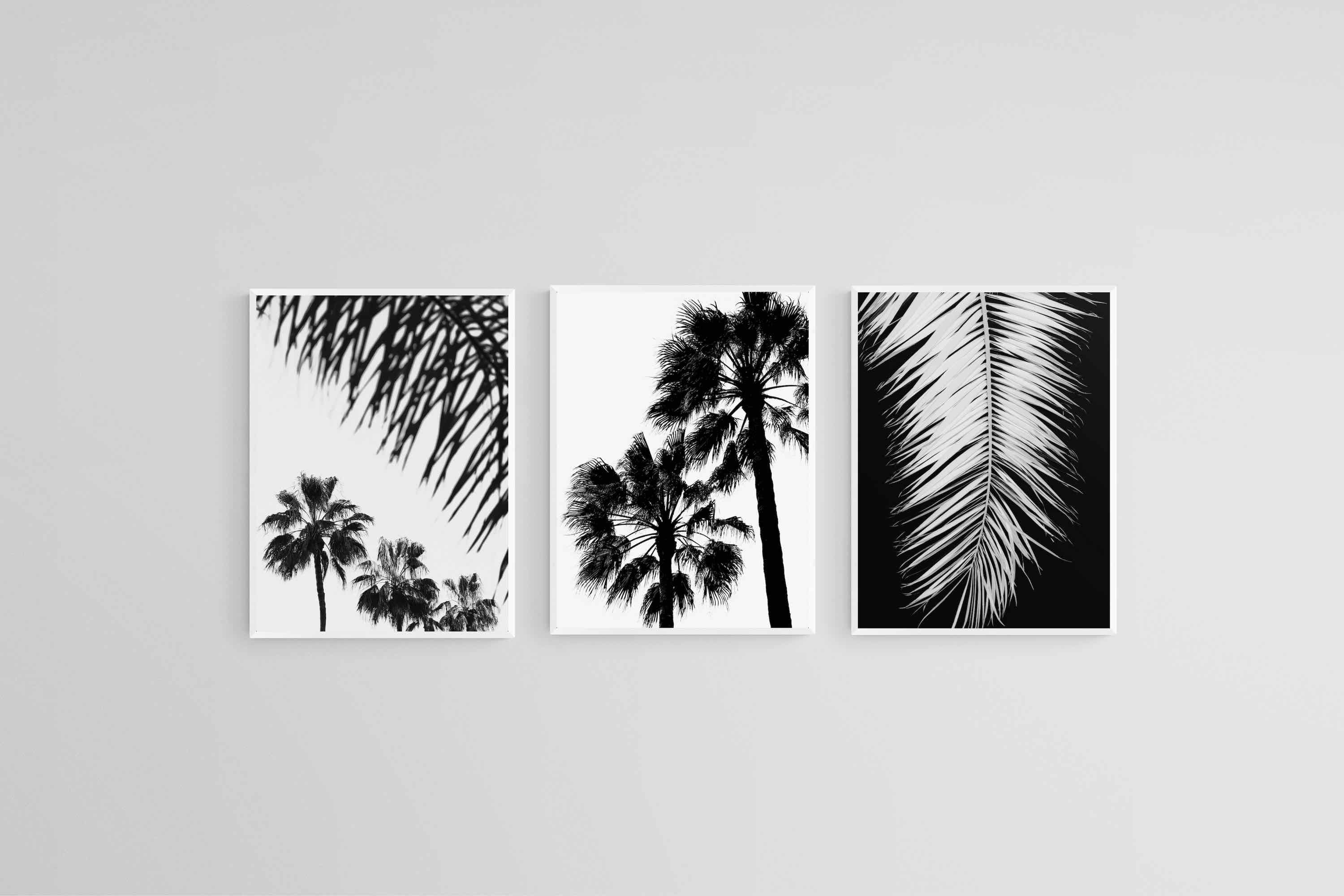 Mono Palms Set-Wall_Art-45 x 60cm (x3)-Mounted Canvas-White-Pixalot
