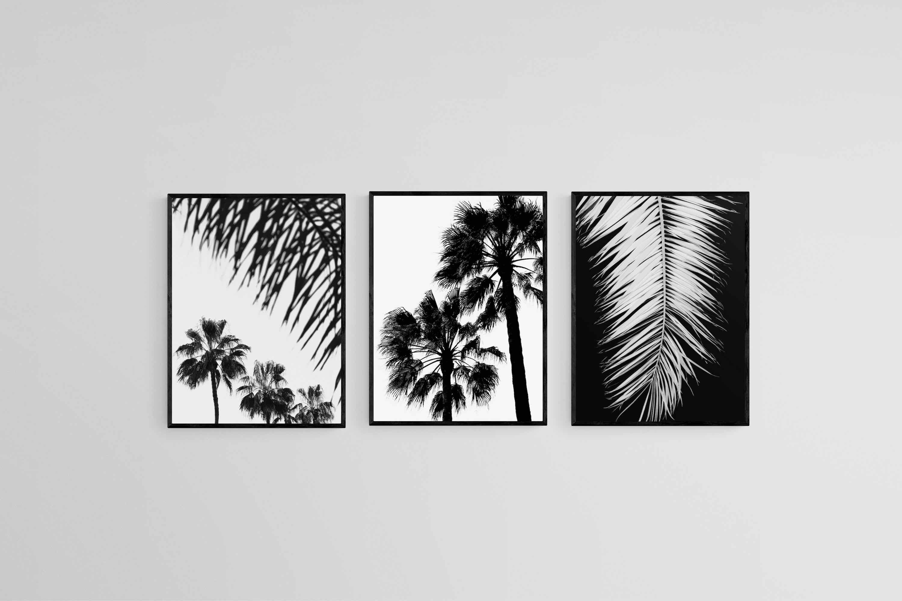 Mono Palms Set-Wall_Art-45 x 60cm (x3)-Mounted Canvas-Black-Pixalot