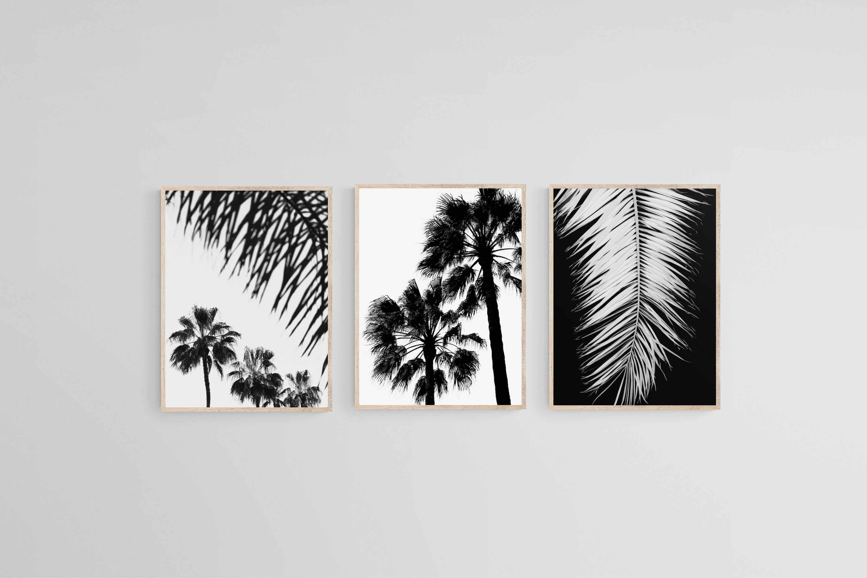 Mono Palms Set-Wall_Art-45 x 60cm (x3)-Mounted Canvas-Wood-Pixalot