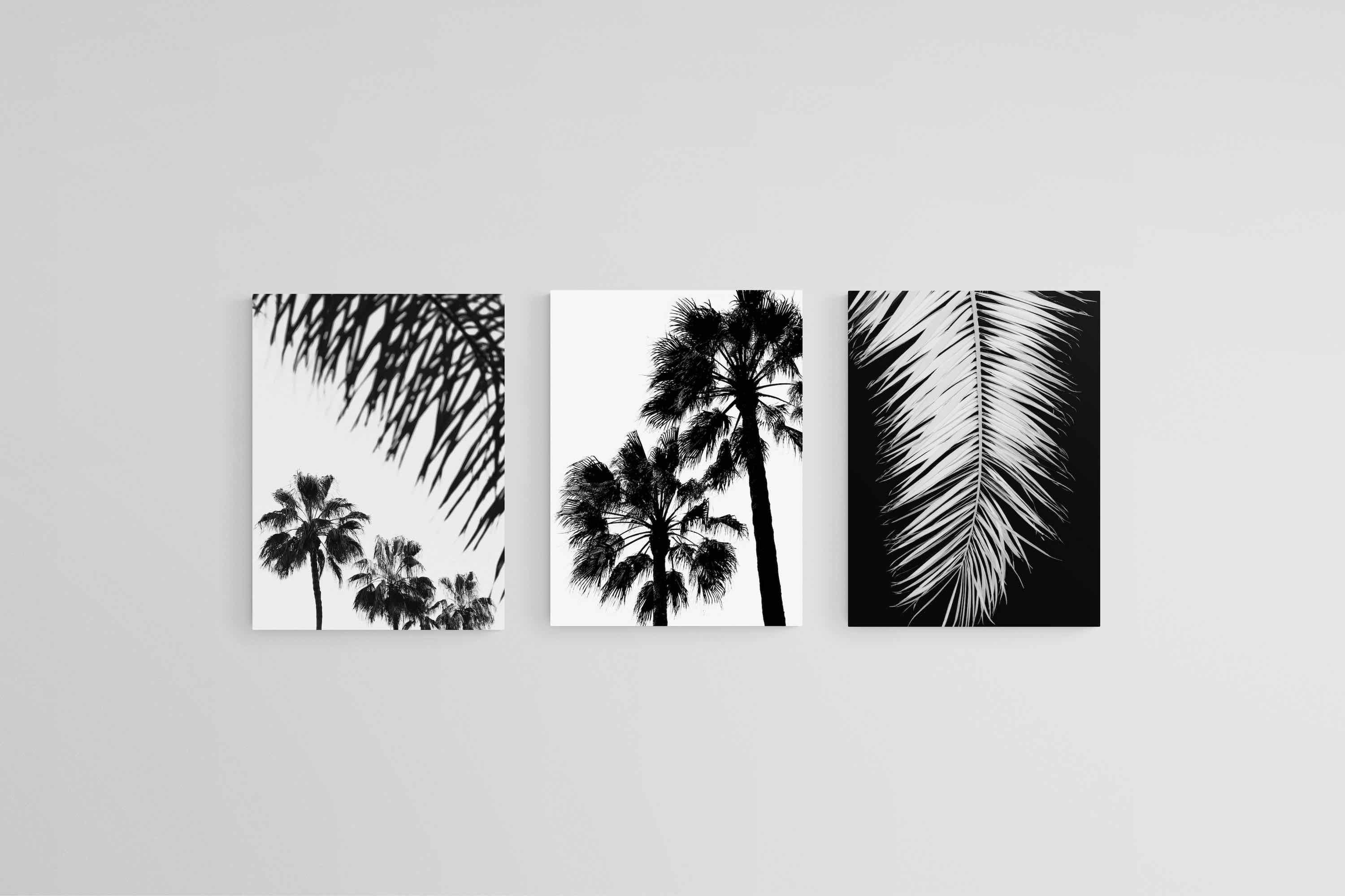 Mono Palms Set-Wall_Art-45 x 60cm (x3)-Mounted Canvas-No Frame-Pixalot