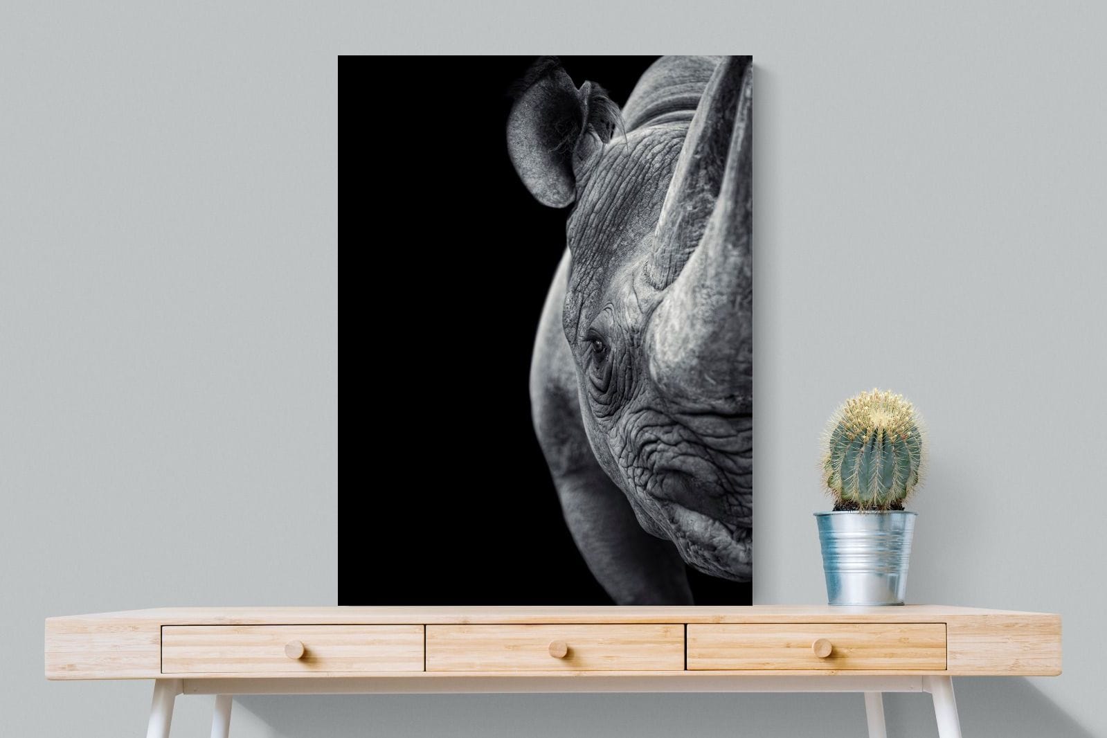 Monochromatic Rhino-Wall_Art-75 x 100cm-Mounted Canvas-No Frame-Pixalot