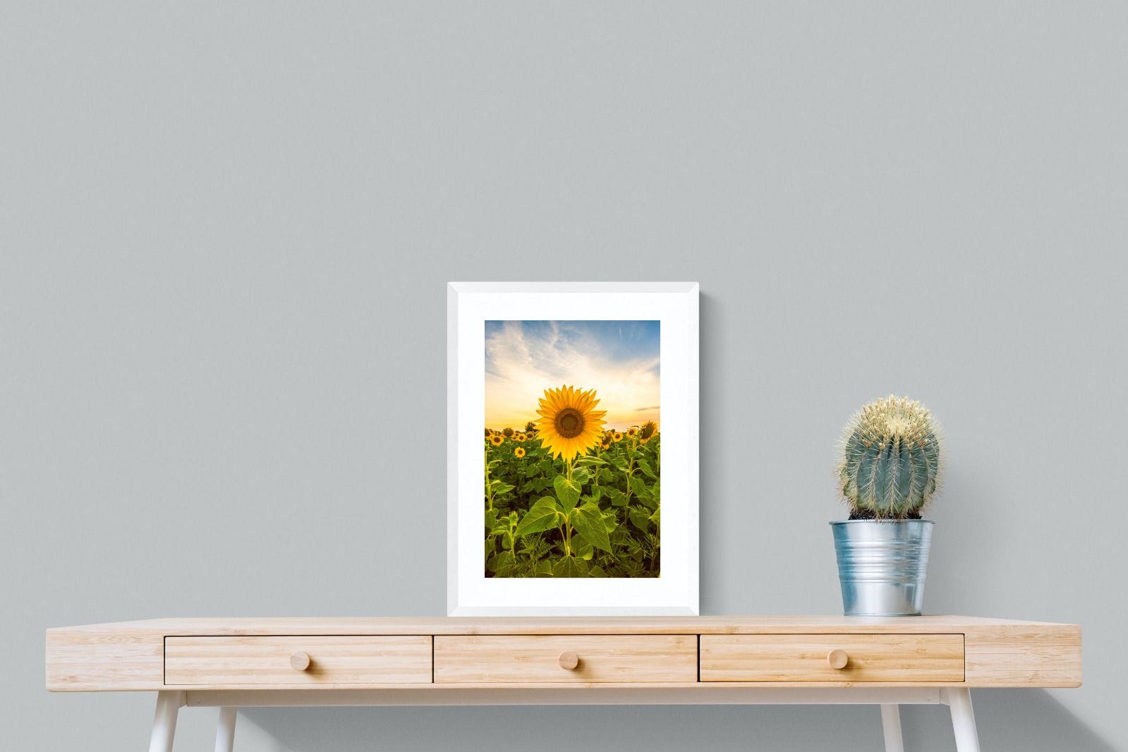 Morning Sunflowers-Wall_Art-45 x 60cm-Framed Print-White-Pixalot