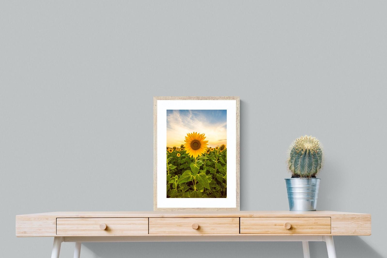 Morning Sunflowers-Wall_Art-45 x 60cm-Framed Print-Wood-Pixalot