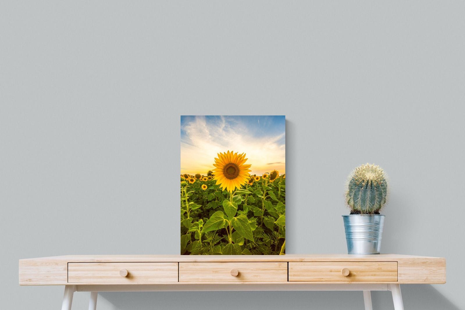 Morning Sunflowers-Wall_Art-45 x 60cm-Mounted Canvas-No Frame-Pixalot