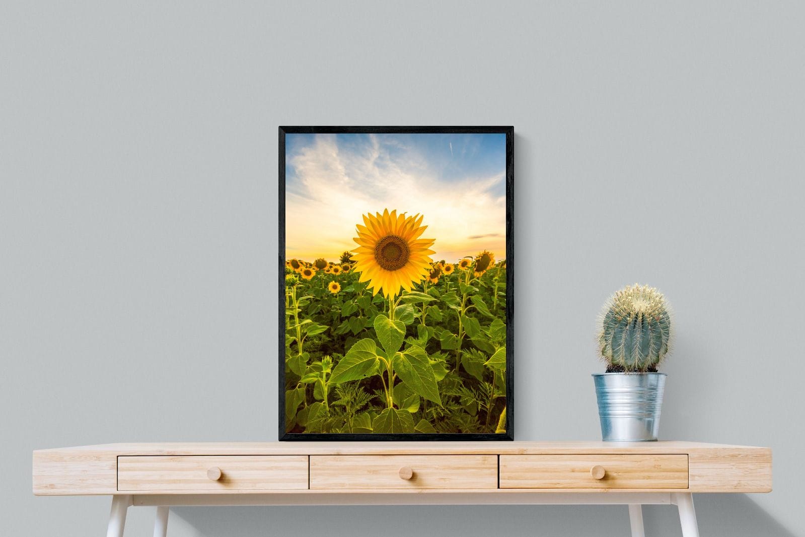 Morning Sunflowers-Wall_Art-60 x 80cm-Mounted Canvas-Black-Pixalot