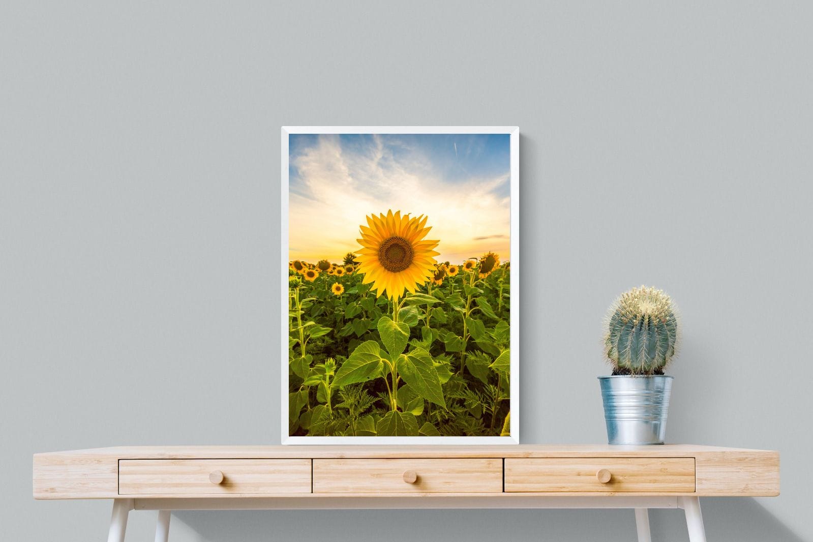 Morning Sunflowers-Wall_Art-60 x 80cm-Mounted Canvas-White-Pixalot