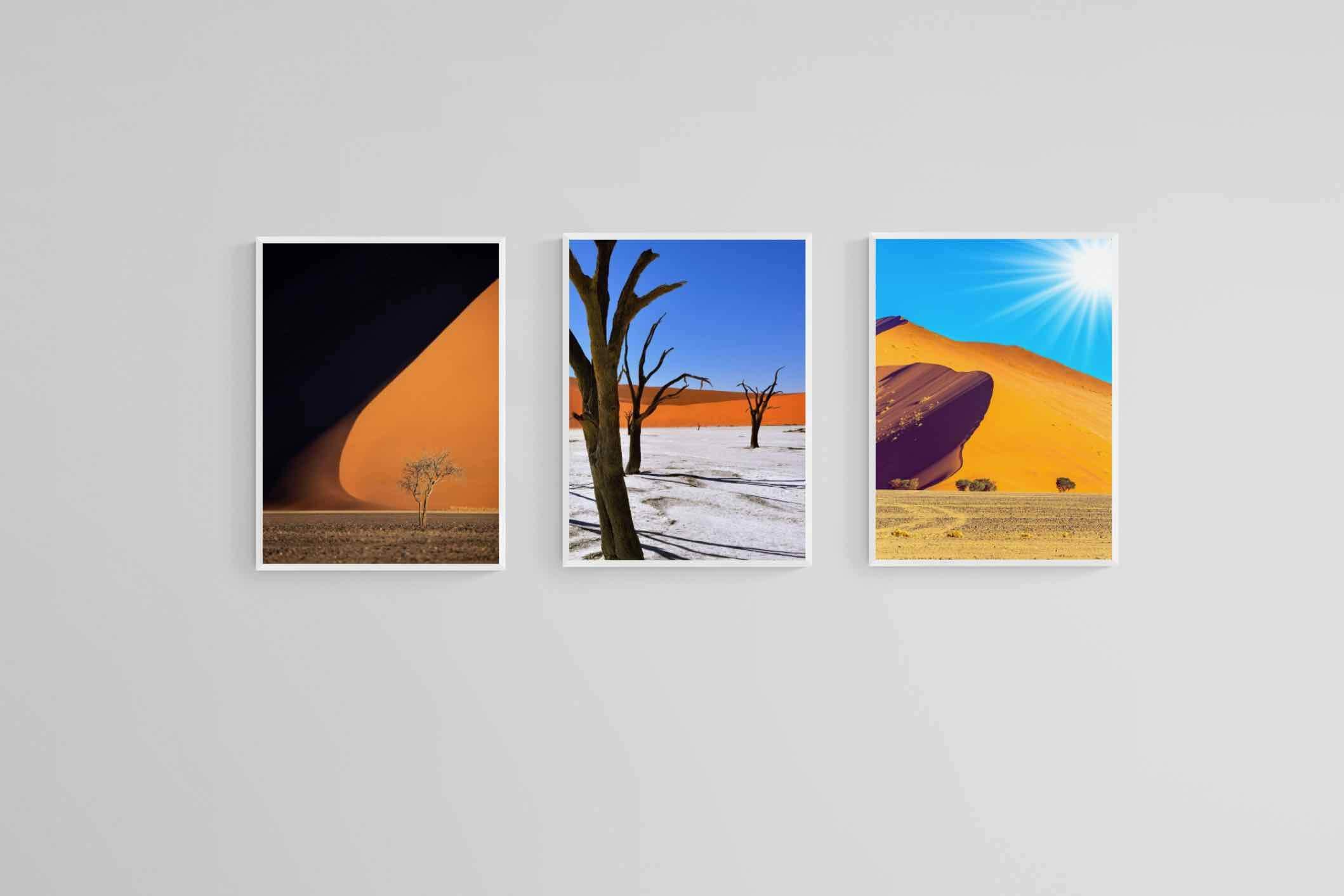 Namibia Set-Wall_Art-45 x 60cm (x3)-Mounted Canvas-White-Pixalot
