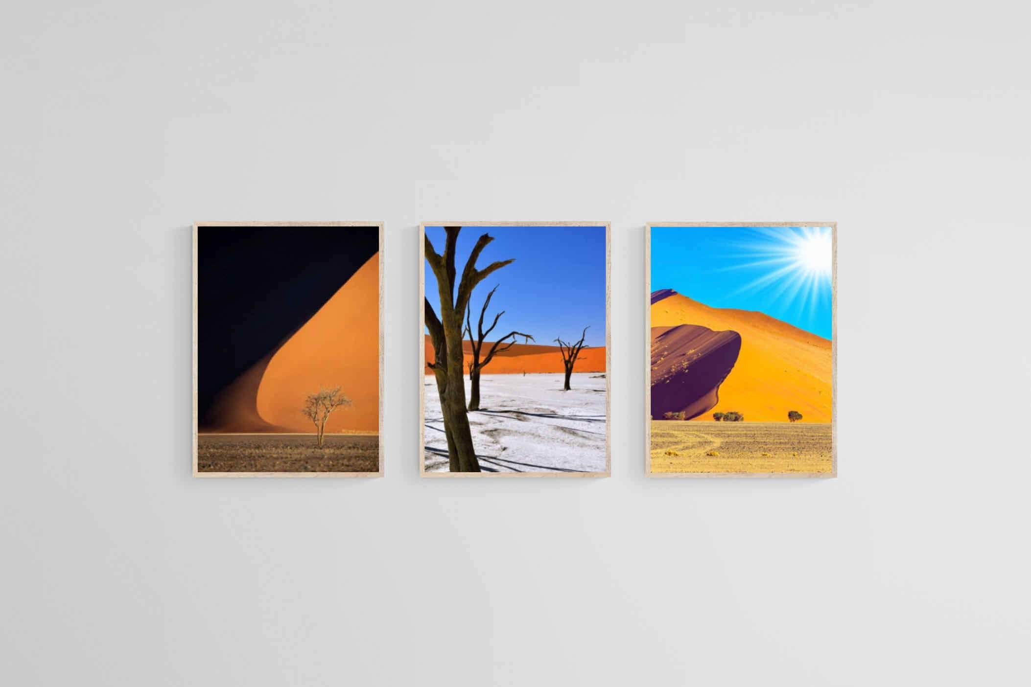Namibia Set-Wall_Art-45 x 60cm (x3)-Mounted Canvas-Wood-Pixalot