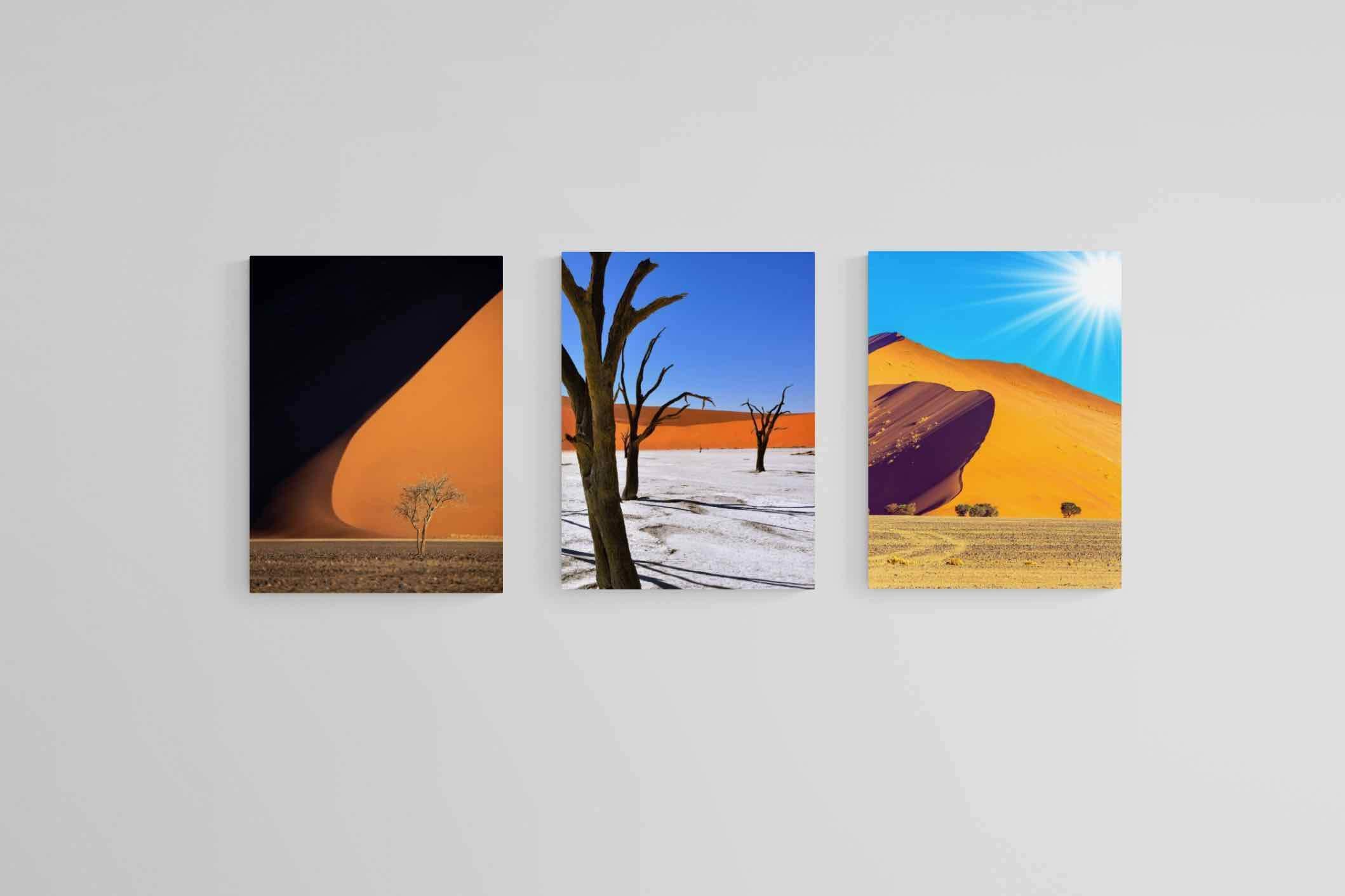 Namibia Set-Wall_Art-60 x 80cm (x3)-Mounted Canvas-No Frame-Pixalot
