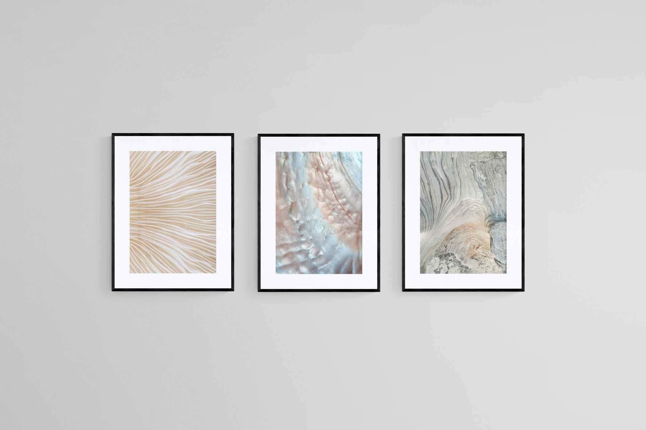 Natural Beauty Set-Wall_Art-60 x 80cm (x3)-Framed Print-Black-Pixalot