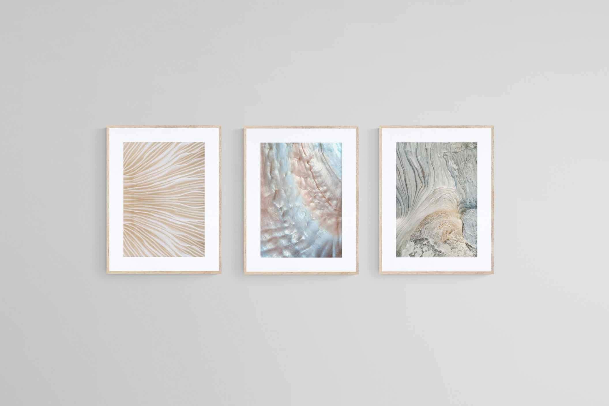 Natural Beauty Set-Wall_Art-60 x 80cm (x3)-Framed Print-Wood-Pixalot