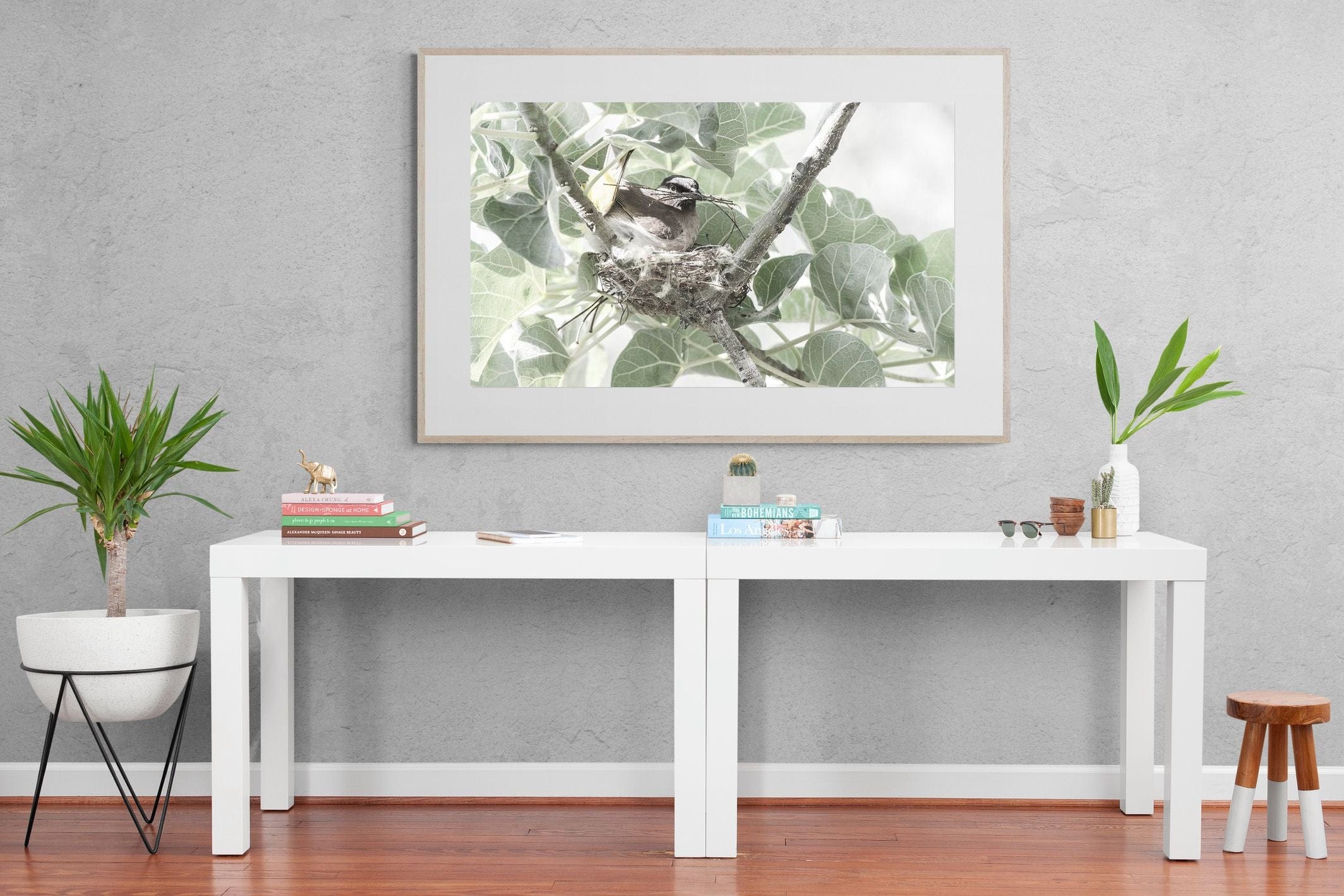 Nesting Bulbul-Wall_Art-150 x 100cm-Framed Print-Wood-Pixalot