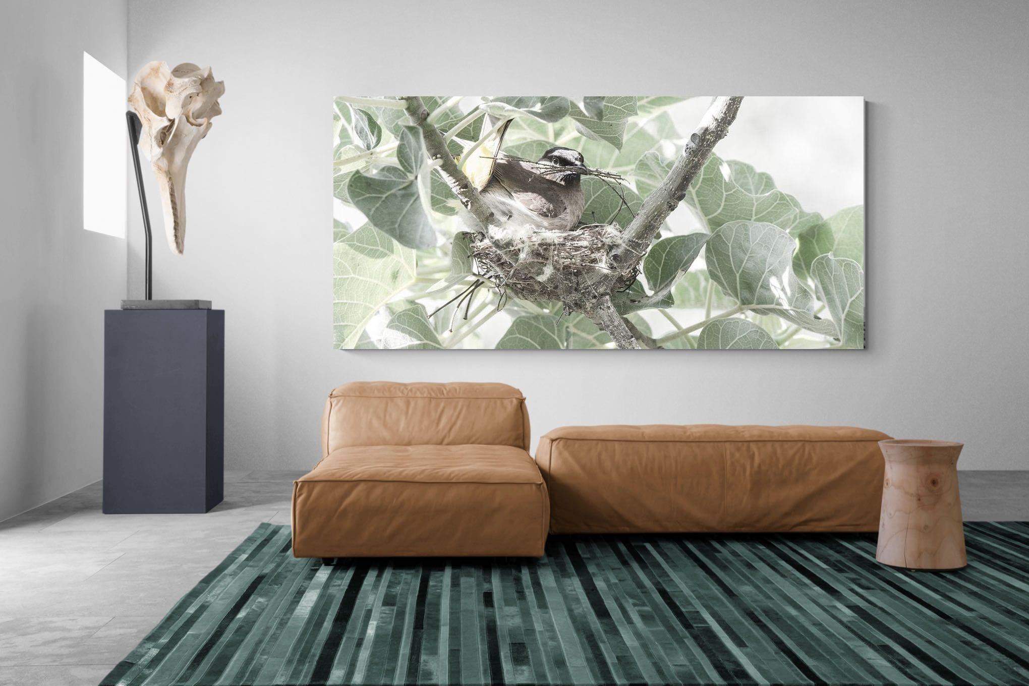 Nesting Bulbul-Wall_Art-275 x 130cm-Mounted Canvas-No Frame-Pixalot