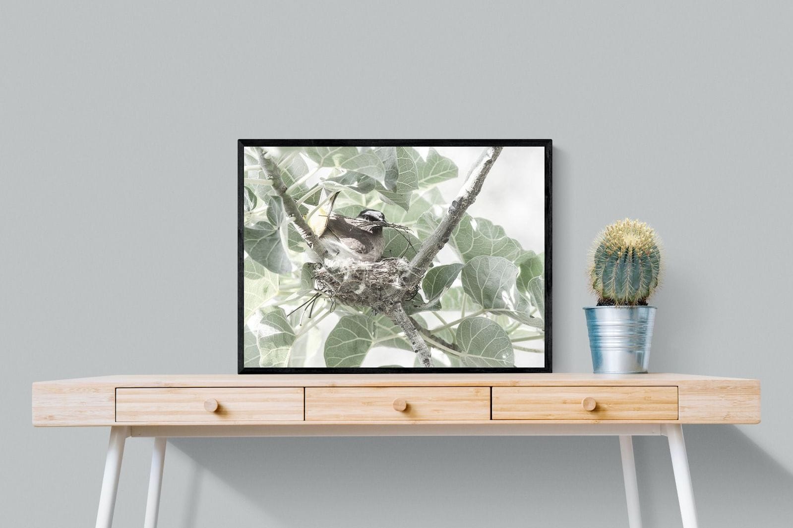 Nesting Bulbul-Wall_Art-80 x 60cm-Mounted Canvas-Black-Pixalot