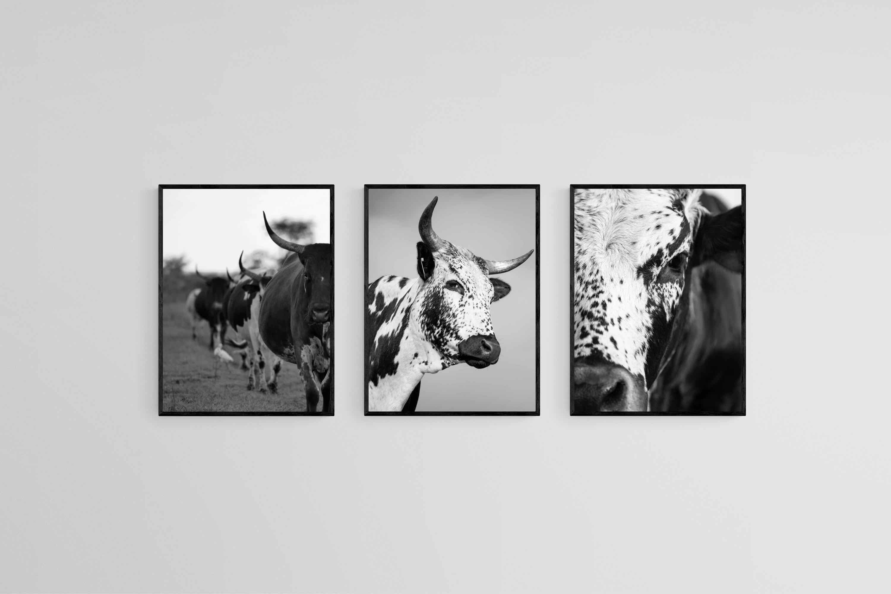 Nguni Black & White Set-Wall_Art-45 x 60cm (x3)-Mounted Canvas-Black-Pixalot