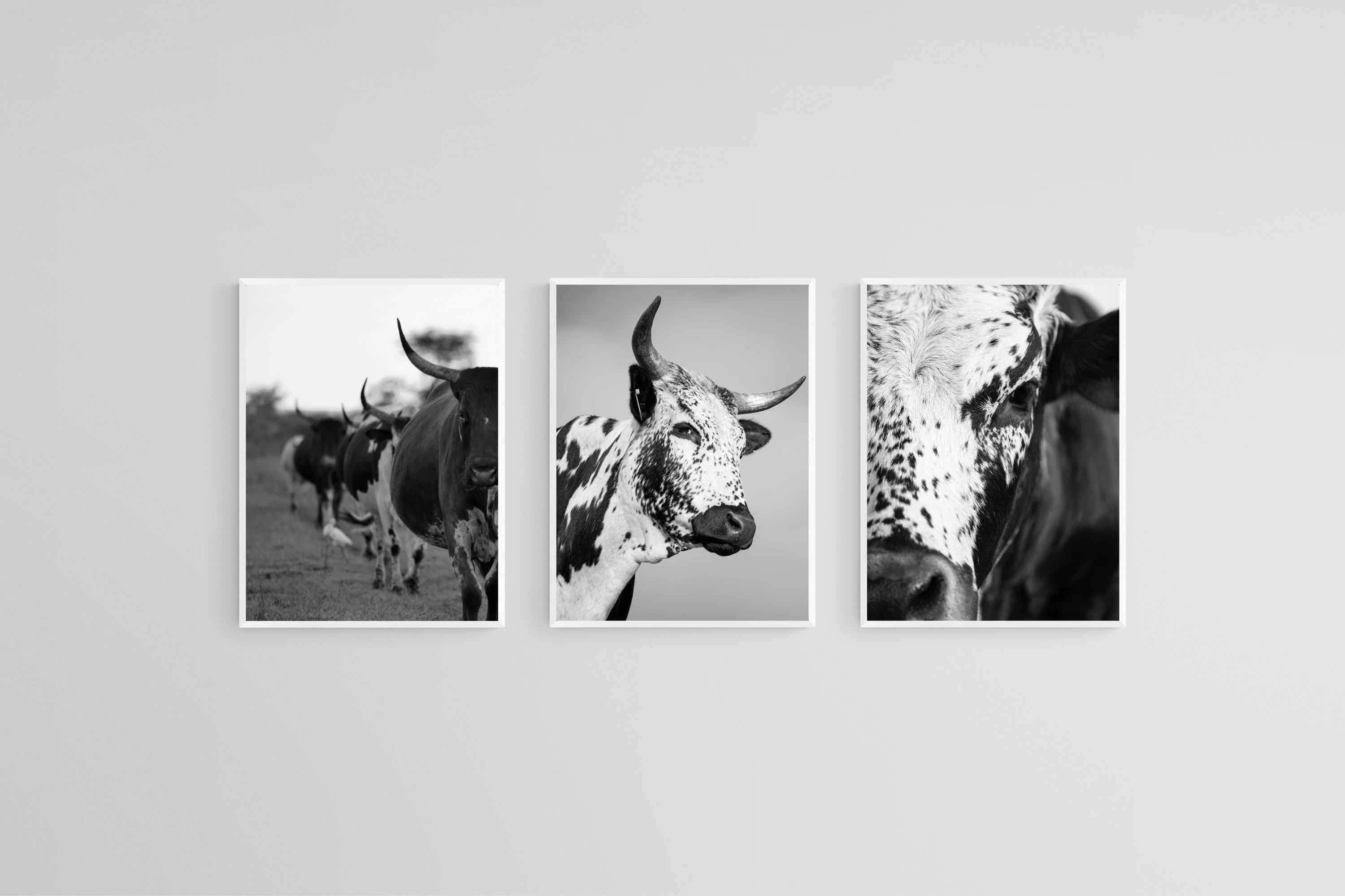 Nguni Black & White Set-Wall_Art-45 x 60cm (x3)-Mounted Canvas-White-Pixalot
