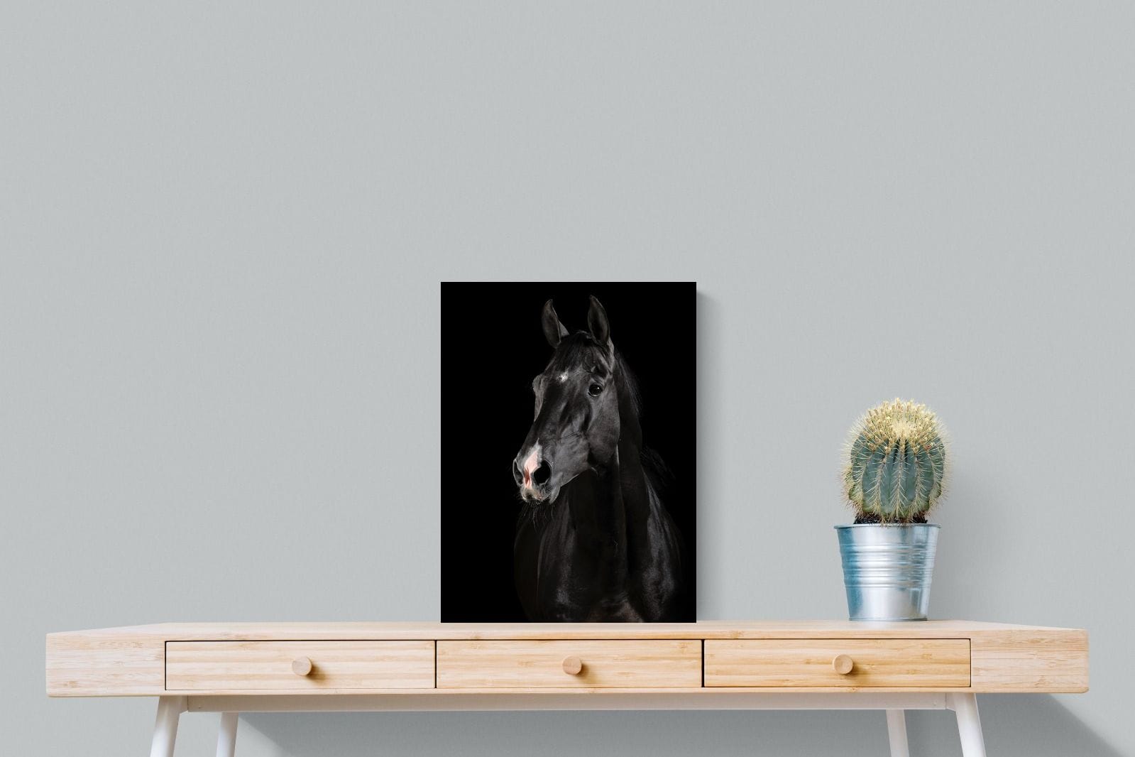 Night Horse-Wall_Art-45 x 60cm-Mounted Canvas-No Frame-Pixalot