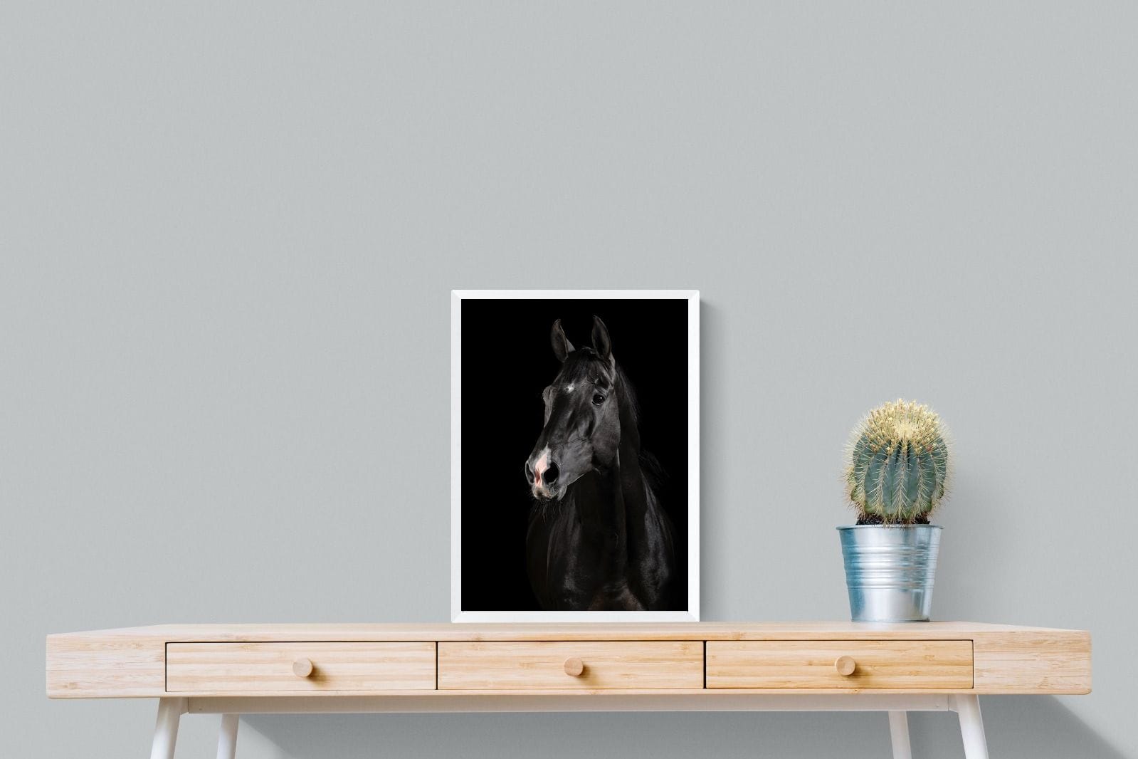 Night Horse-Wall_Art-45 x 60cm-Mounted Canvas-White-Pixalot