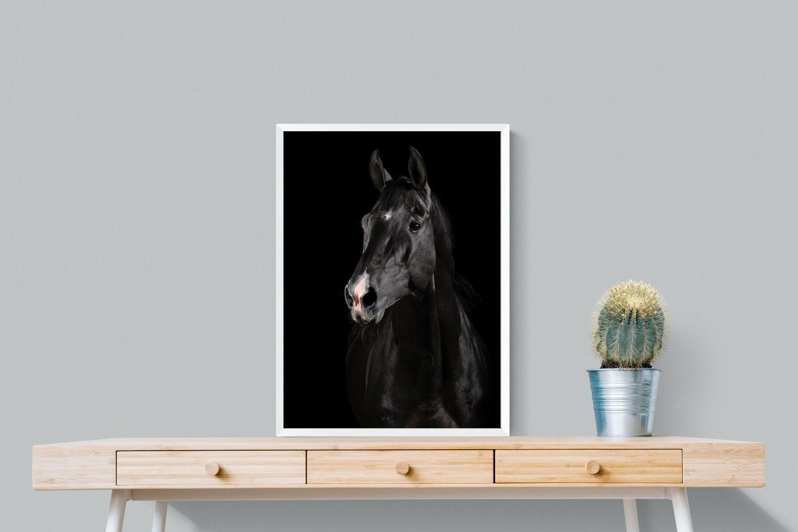 Night Horse-Wall_Art-60 x 80cm-Mounted Canvas-White-Pixalot