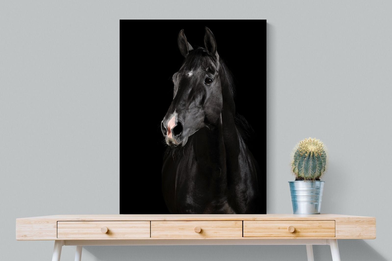 Night Horse-Wall_Art-75 x 100cm-Mounted Canvas-No Frame-Pixalot