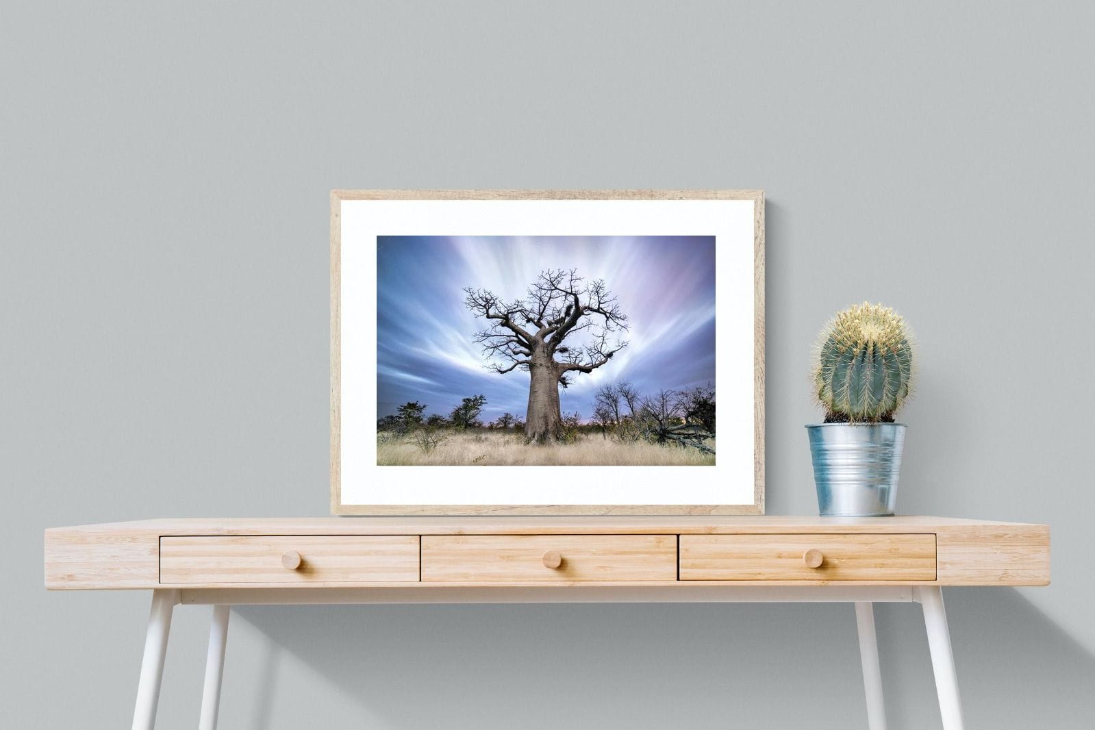 Night Sky Baobab-Wall_Art-80 x 60cm-Framed Print-Wood-Pixalot
