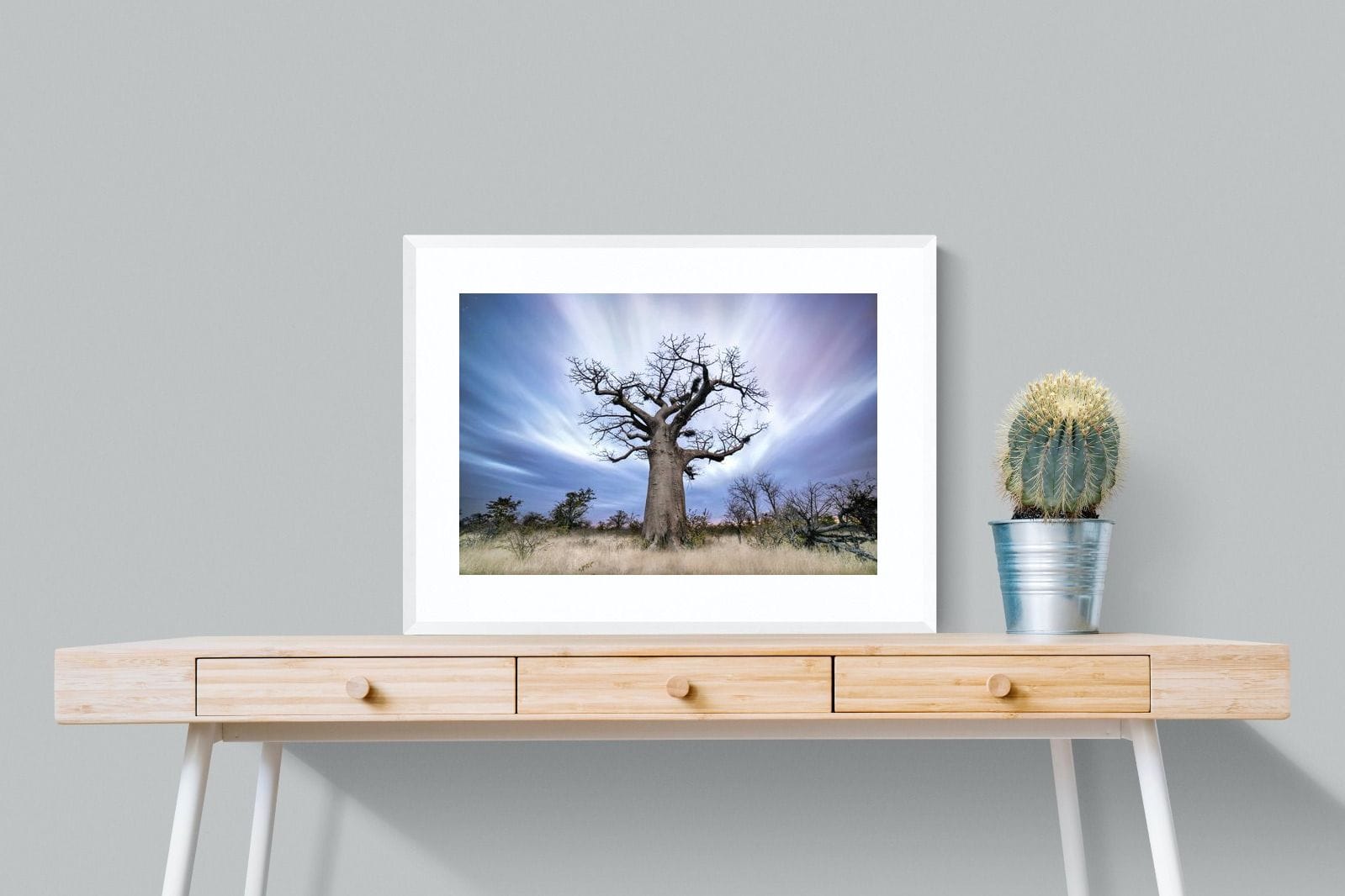 Night Sky Baobab-Wall_Art-80 x 60cm-Framed Print-White-Pixalot