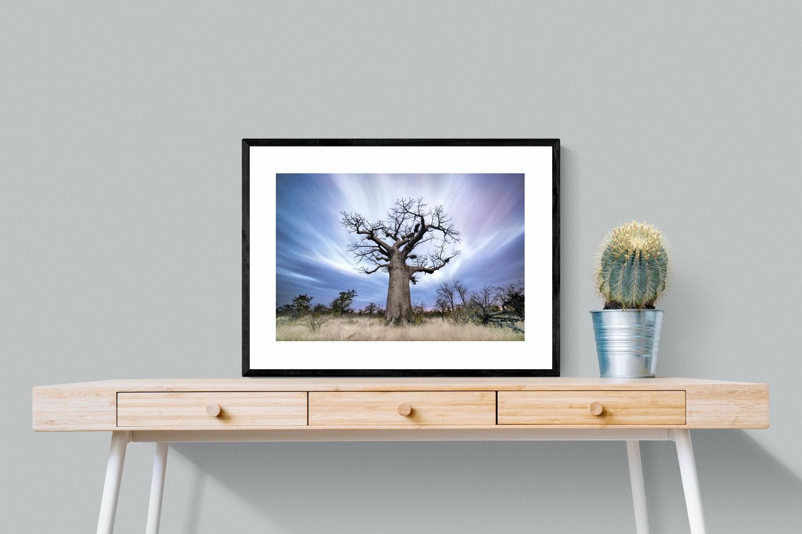 Night Sky Baobab-Wall_Art-80 x 60cm-Framed Print-Black-Pixalot