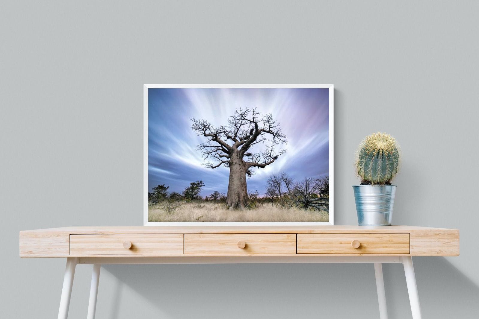 Night Sky Baobab-Wall_Art-80 x 60cm-Mounted Canvas-White-Pixalot