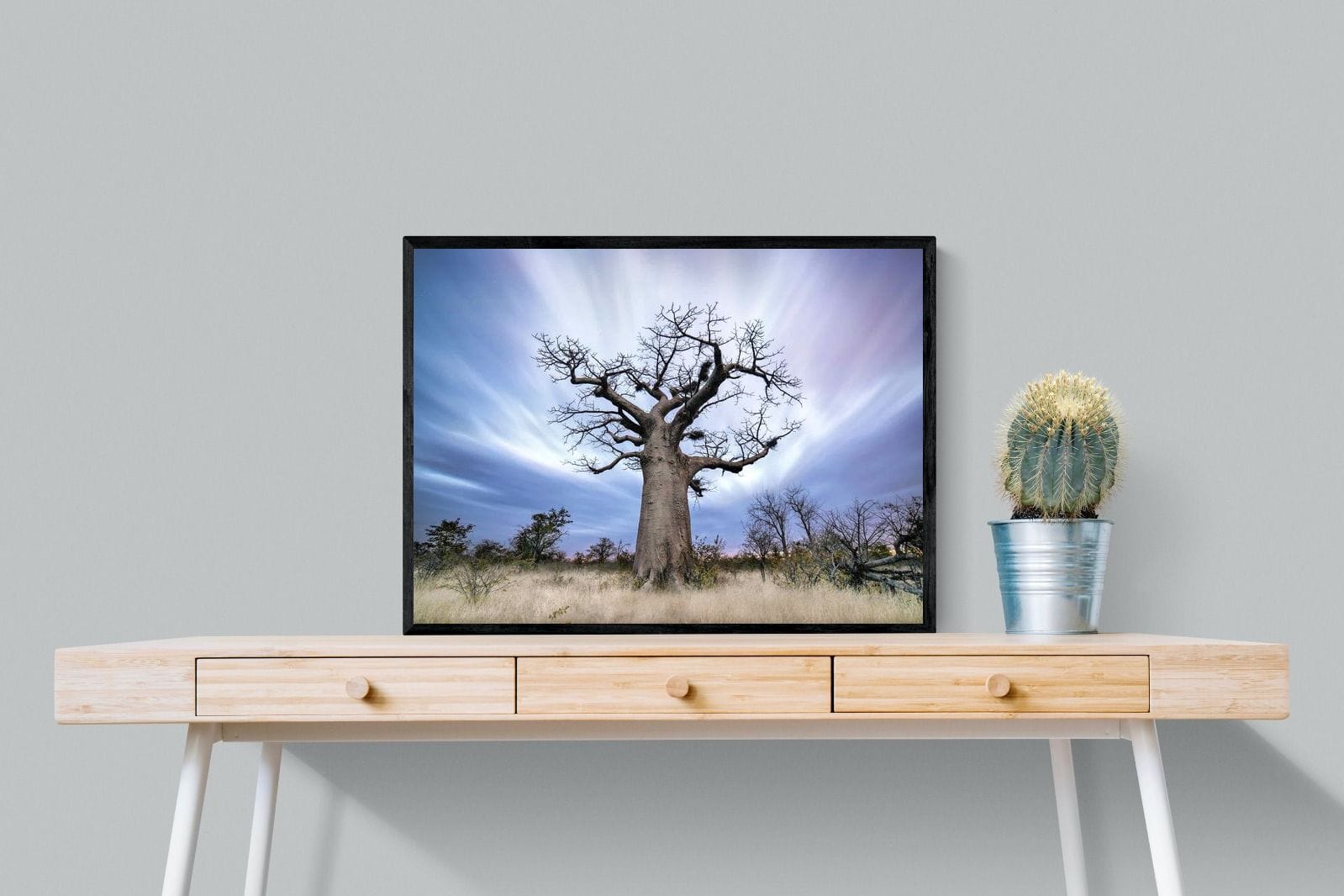 Night Sky Baobab-Wall_Art-80 x 60cm-Mounted Canvas-Black-Pixalot