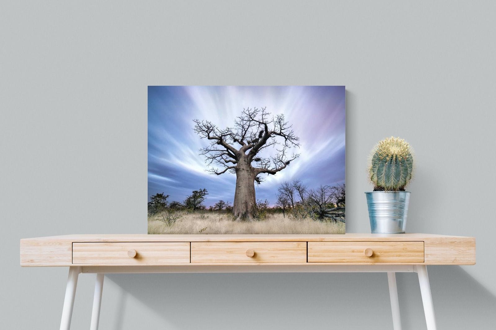 Night Sky Baobab-Wall_Art-80 x 60cm-Mounted Canvas-No Frame-Pixalot