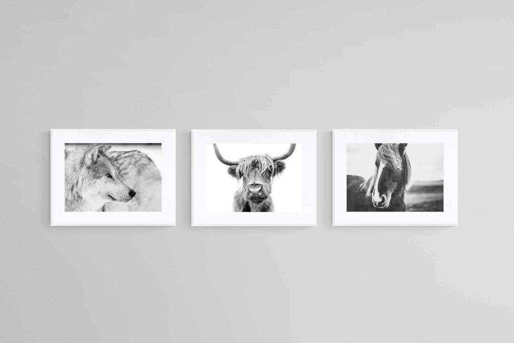Nordic Animals Set-Wall_Art-60 x 45cm (x3)-Framed Print-White-Pixalot