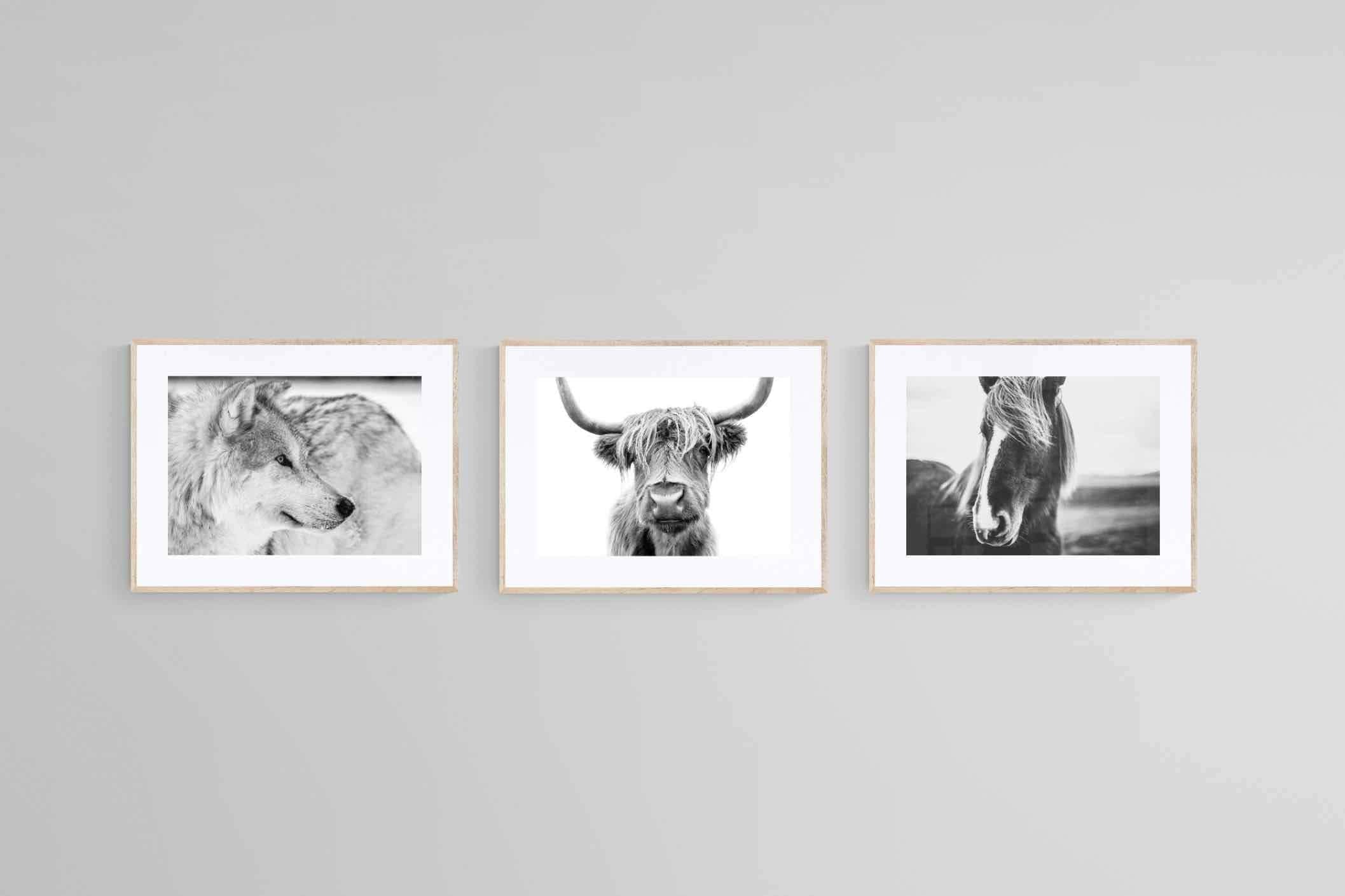 Nordic Animals Set-Wall_Art-60 x 45cm (x3)-Framed Print-Wood-Pixalot