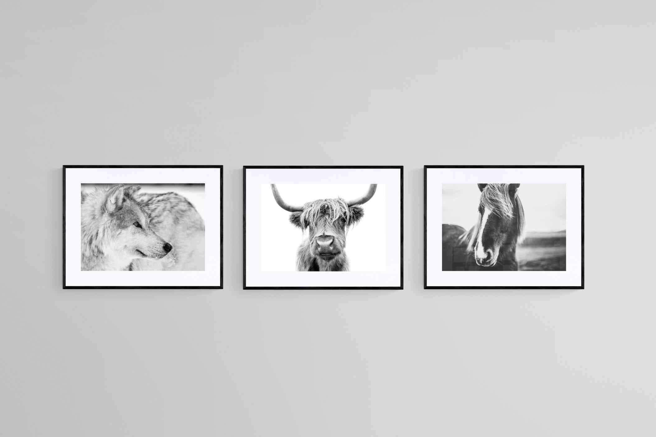 Nordic Animals Set-Wall_Art-60 x 45cm (x3)-Framed Print-Black-Pixalot
