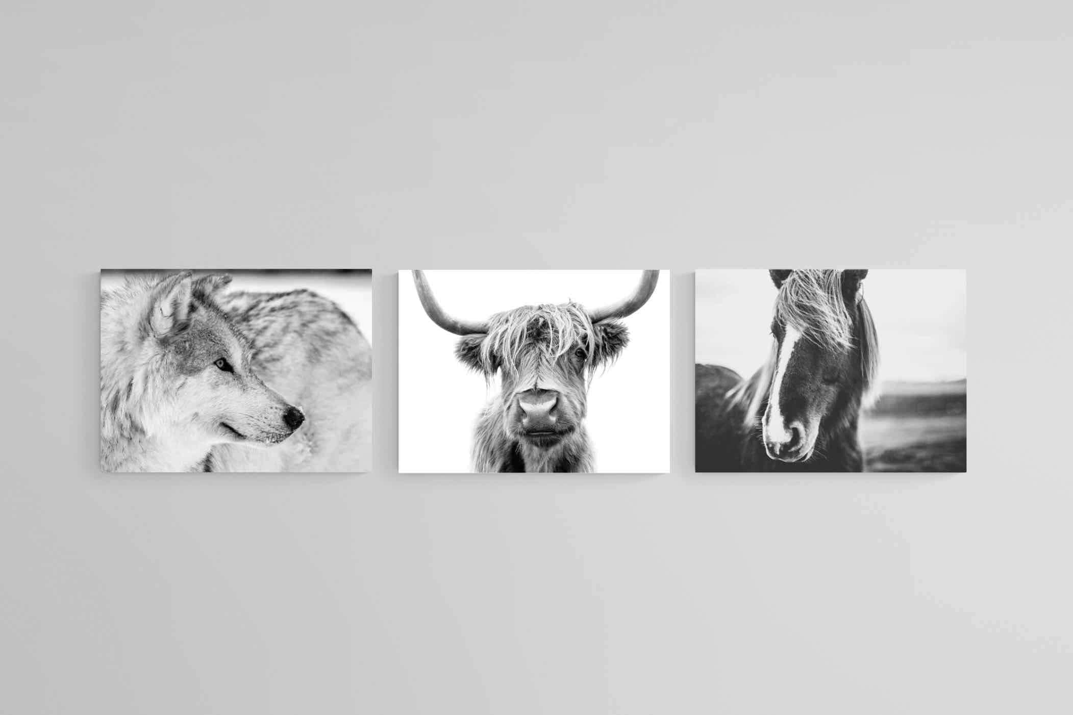 Nordic Animals Set-Wall_Art-60 x 45cm (x3)-Mounted Canvas-No Frame-Pixalot