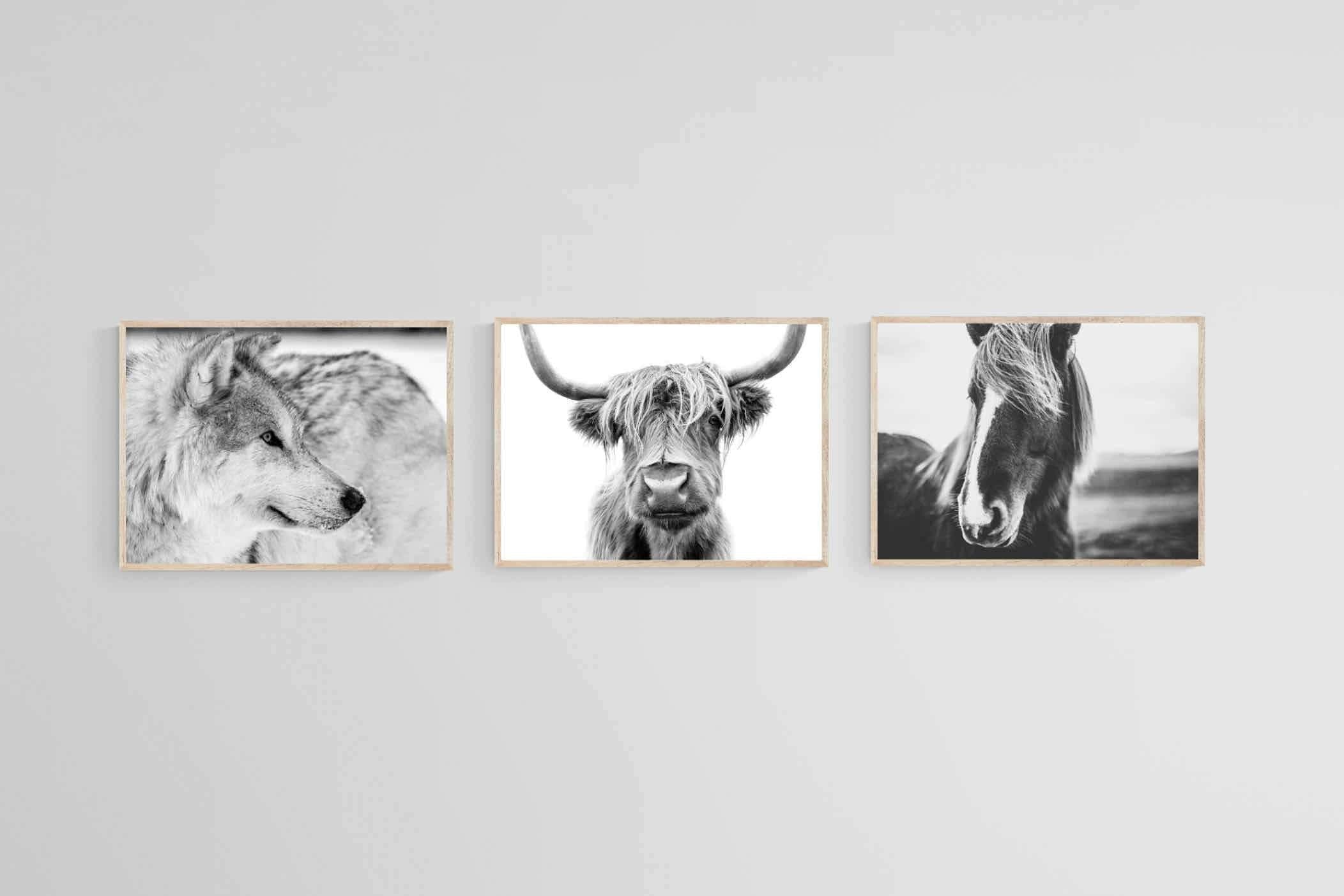 Nordic Animals Set-Wall_Art-60 x 45cm (x3)-Mounted Canvas-Wood-Pixalot