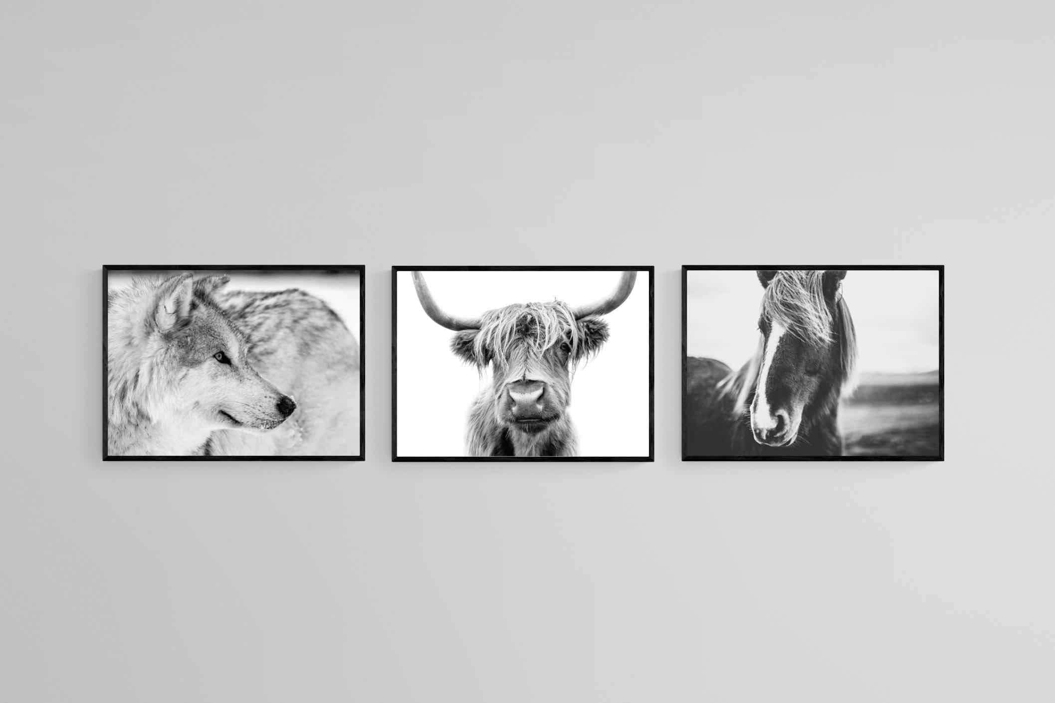 Nordic Animals Set-Wall_Art-60 x 45cm (x3)-Mounted Canvas-Black-Pixalot