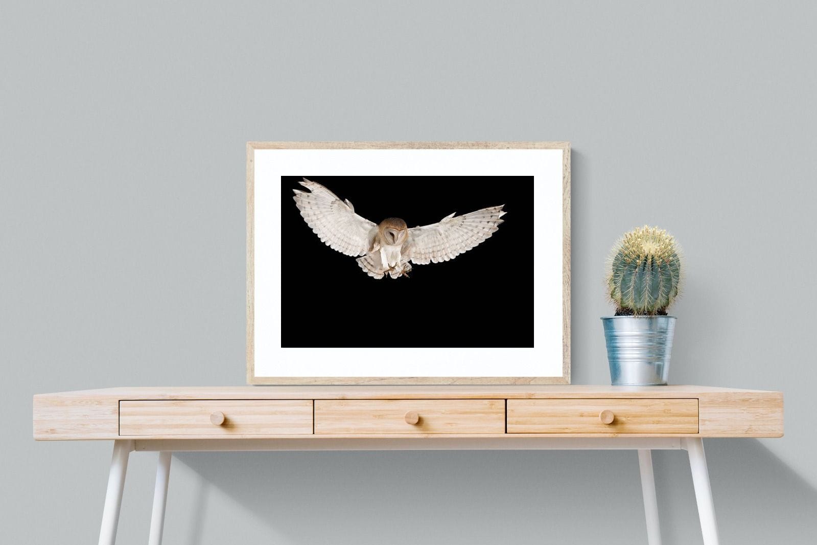 Owl Attack-Wall_Art-80 x 60cm-Framed Print-Wood-Pixalot