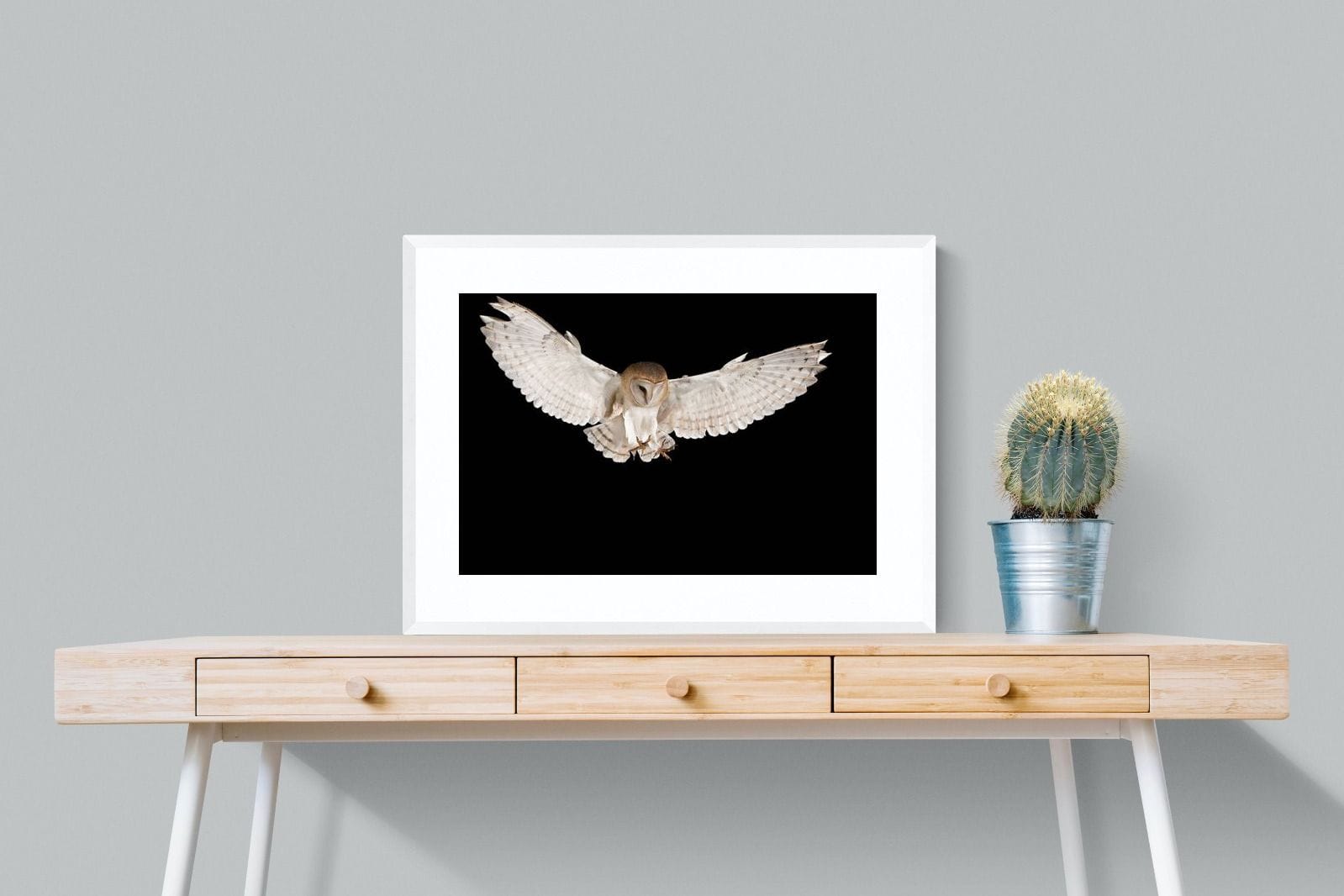 Owl Attack-Wall_Art-80 x 60cm-Framed Print-White-Pixalot