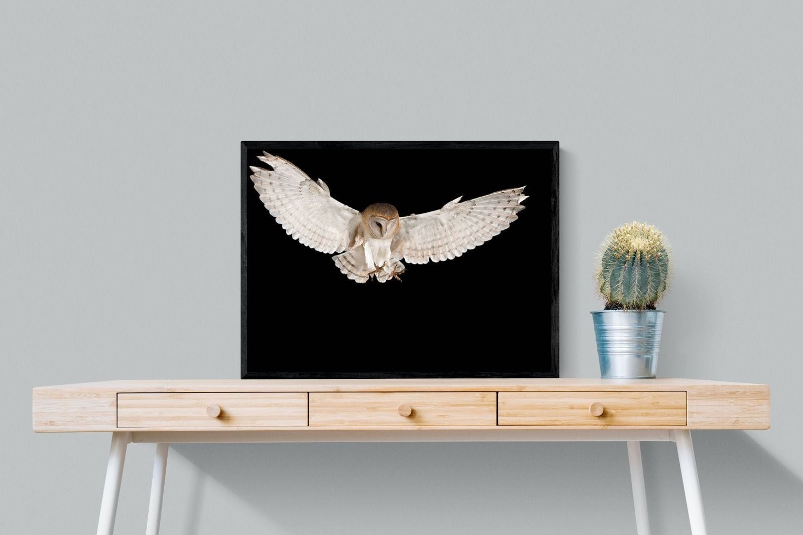 Owl Attack-Wall_Art-80 x 60cm-Mounted Canvas-Black-Pixalot