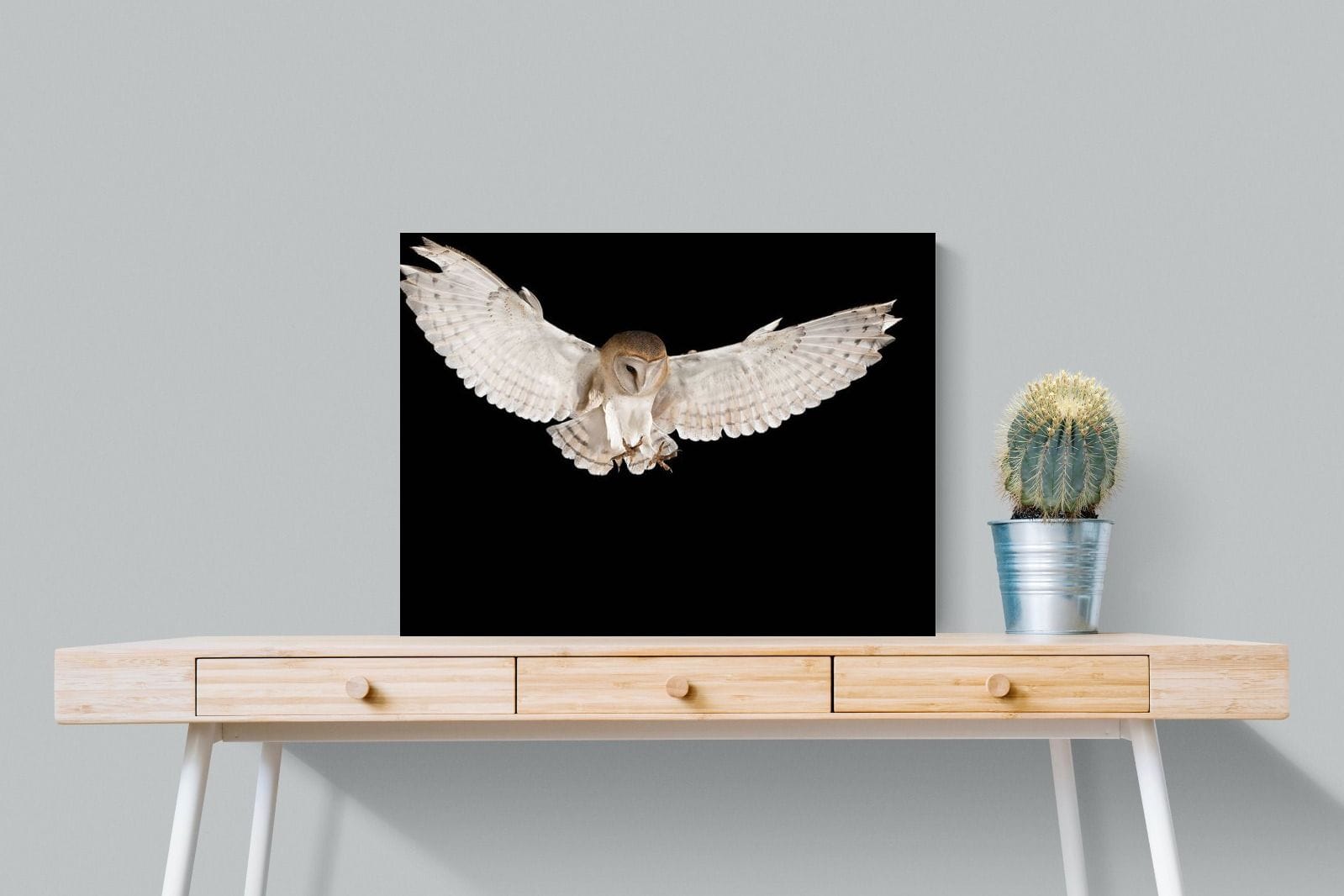 Owl Attack-Wall_Art-80 x 60cm-Mounted Canvas-No Frame-Pixalot
