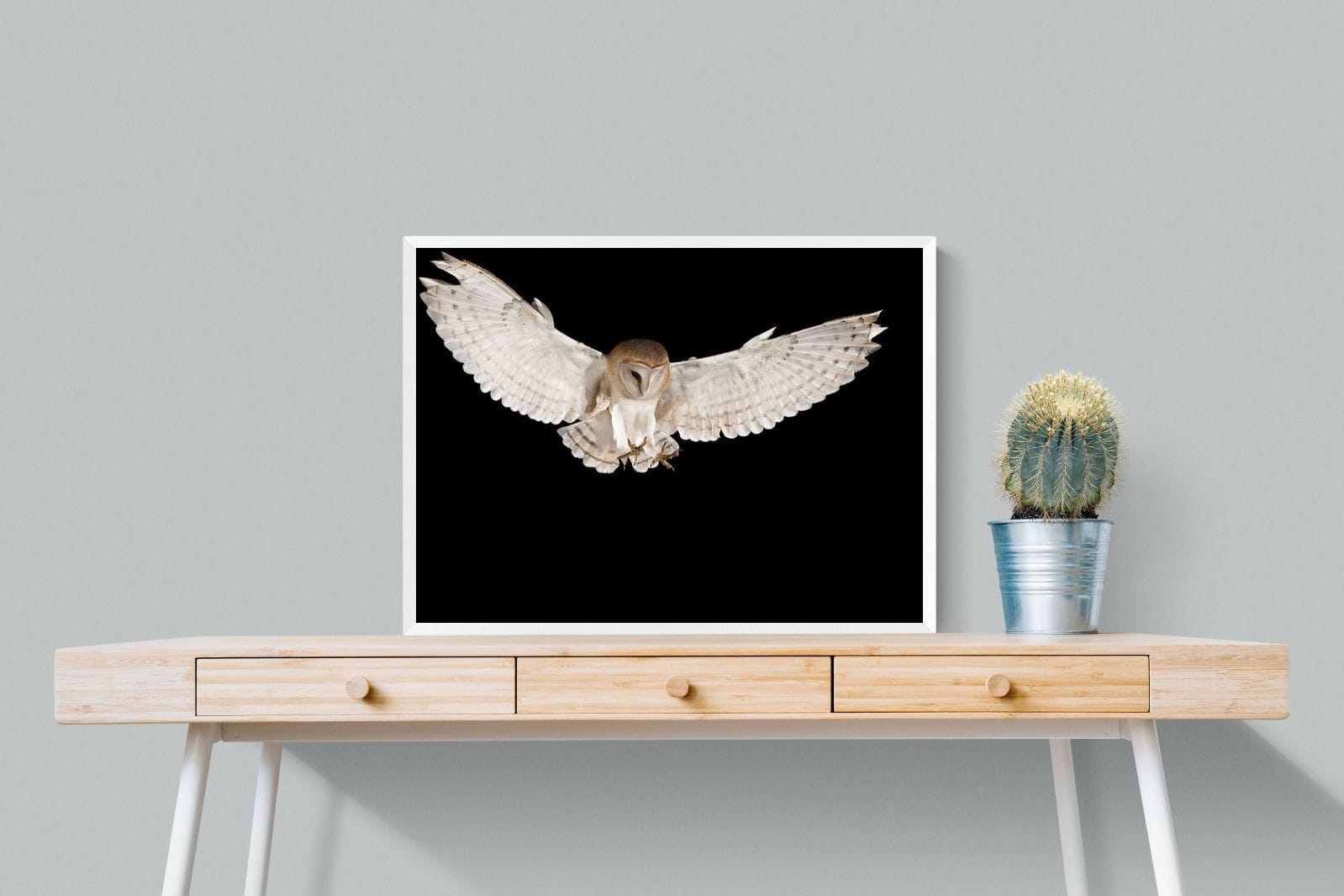 Owl Attack-Wall_Art-80 x 60cm-Mounted Canvas-White-Pixalot