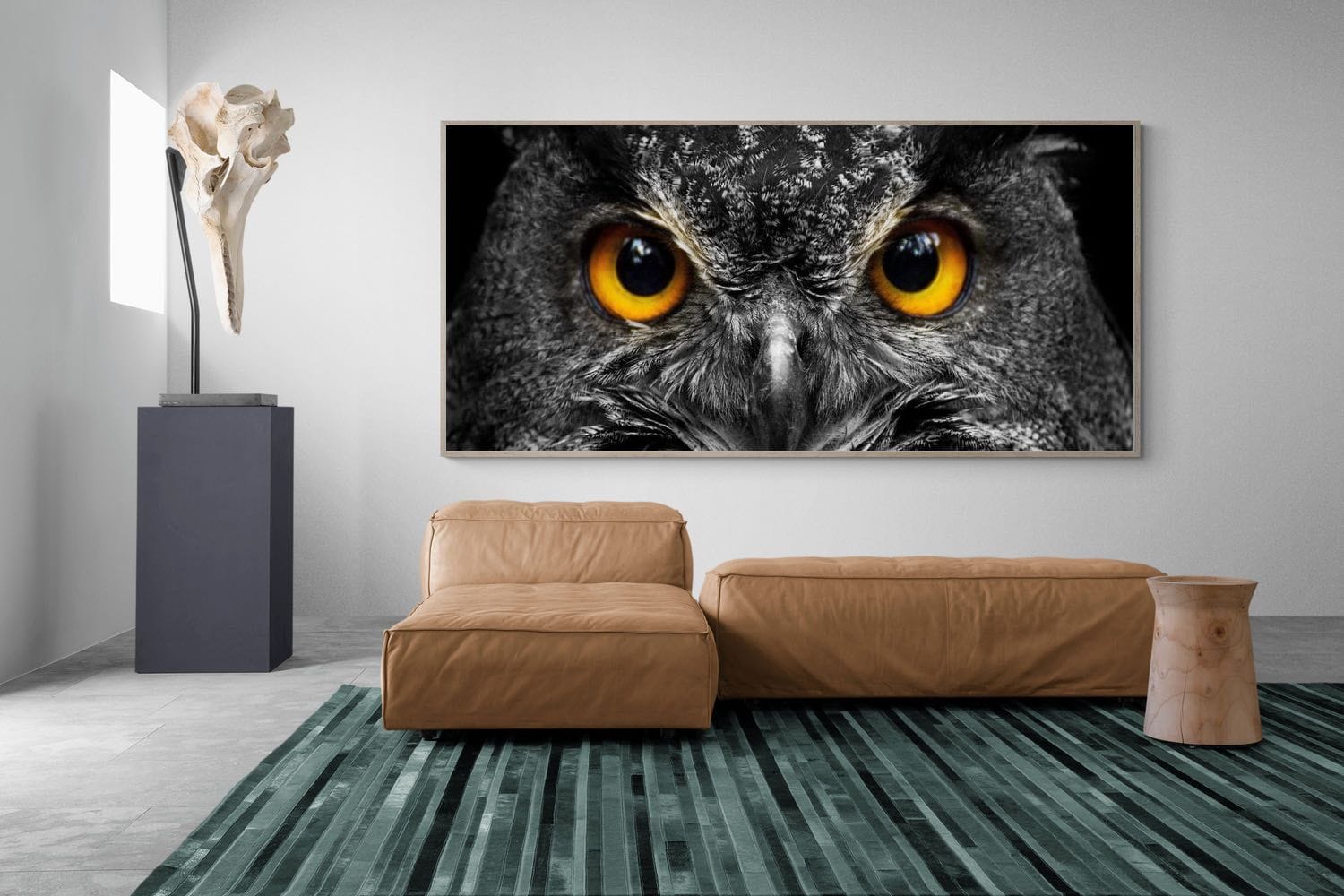 Pixalot Owl Eyes