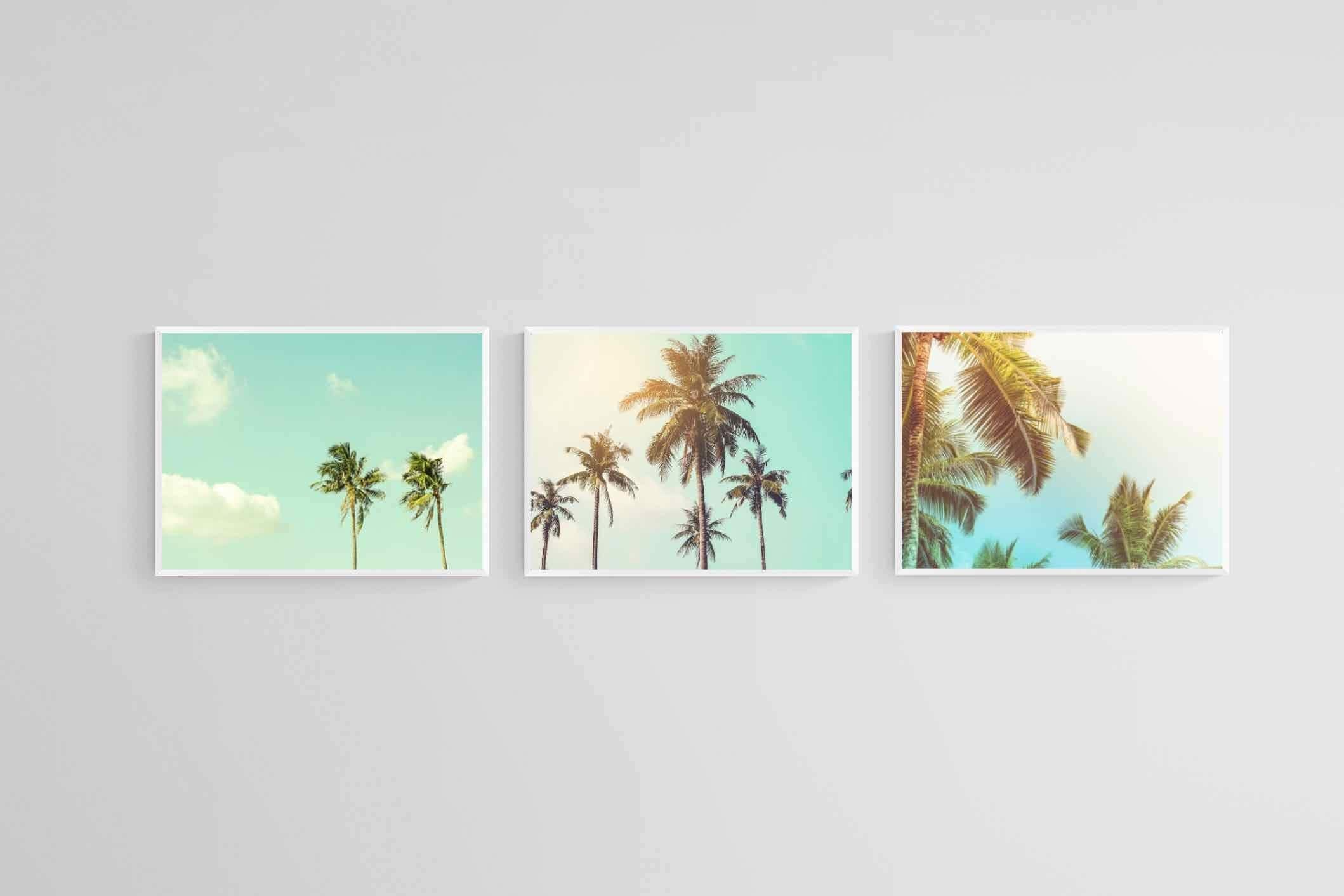 Palm Set-Wall_Art-60 x 45cm (x3)-Mounted Canvas-White-Pixalot