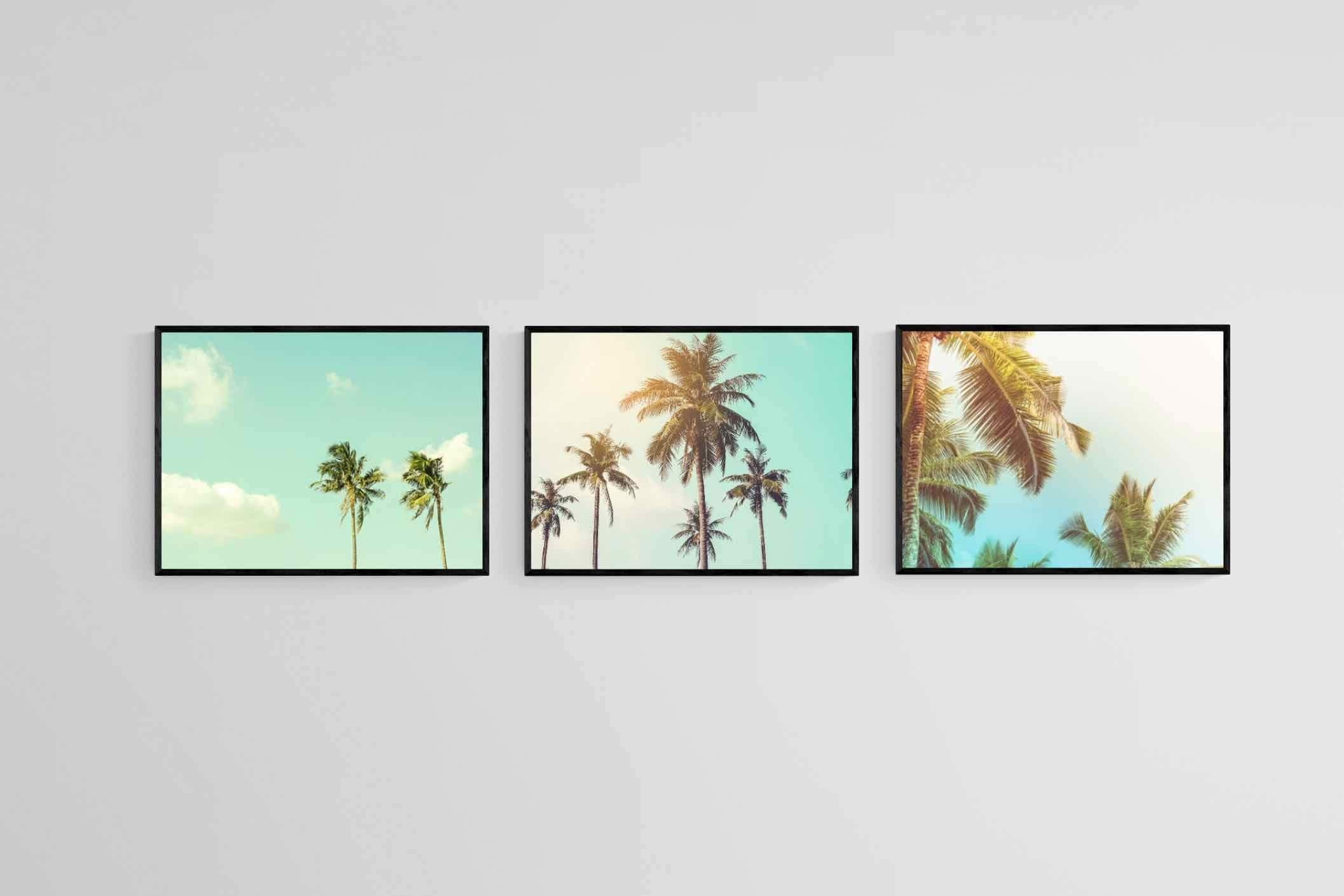 Palm Set-Wall_Art-60 x 45cm (x3)-Mounted Canvas-Black-Pixalot