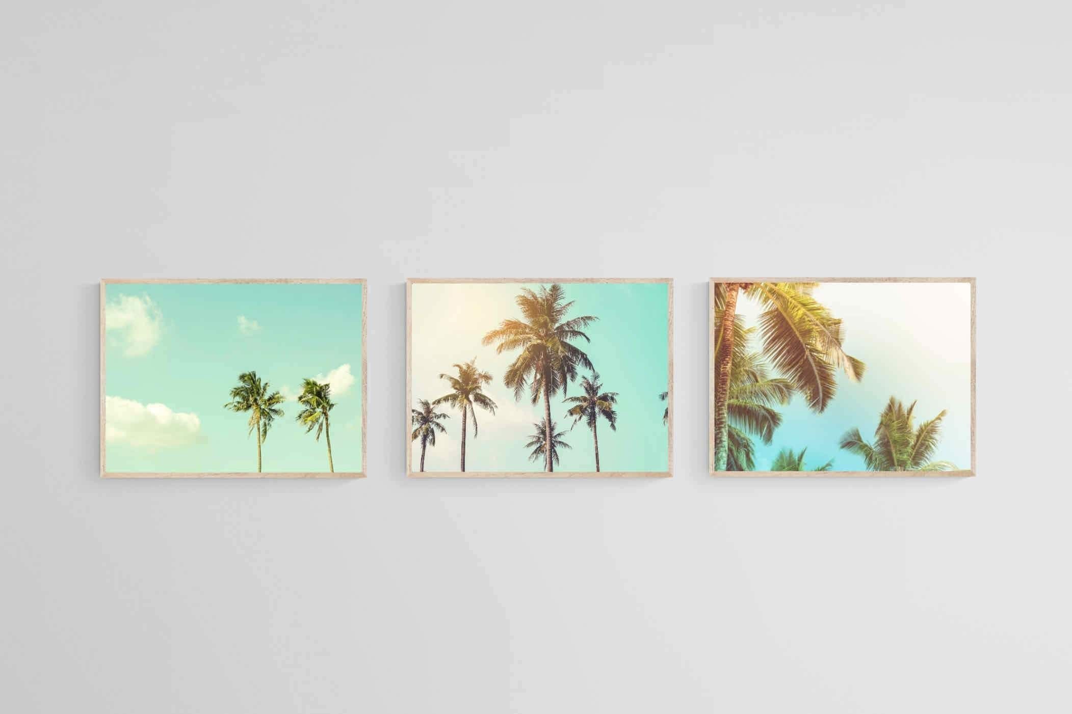 Palm Set-Wall_Art-60 x 45cm (x3)-Mounted Canvas-Wood-Pixalot