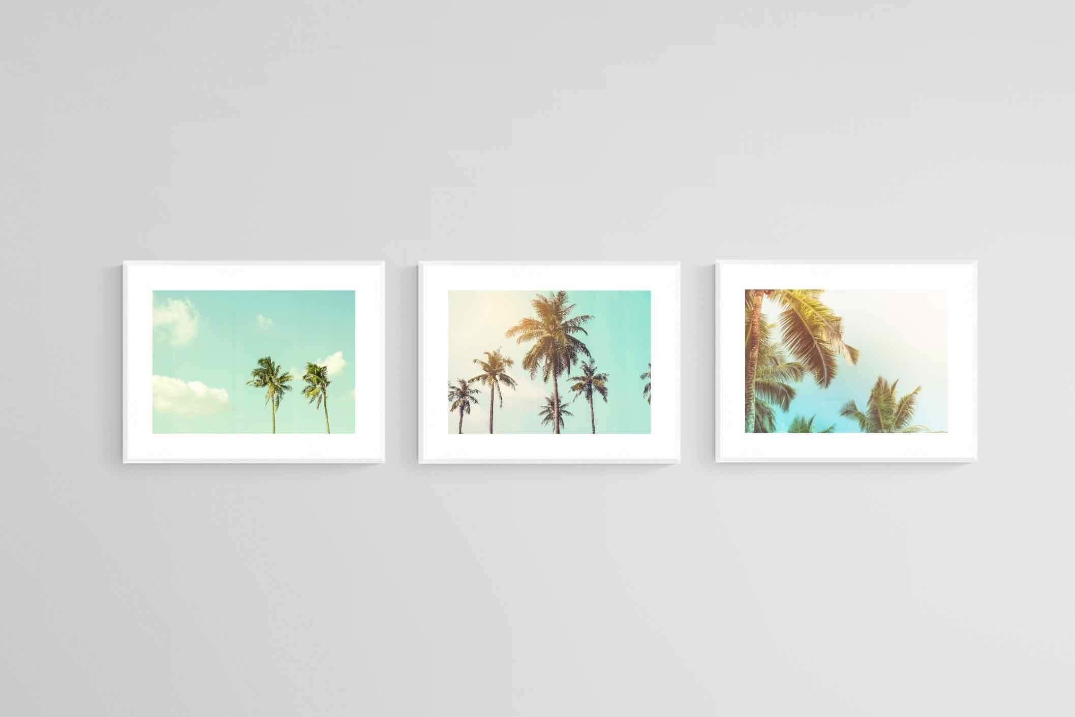 Palm Set-Wall_Art-80 x 60cm (x3)-Framed Print-White-Pixalot